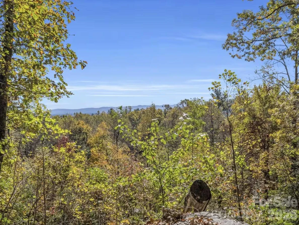 311 Charming Lane - Photo 45