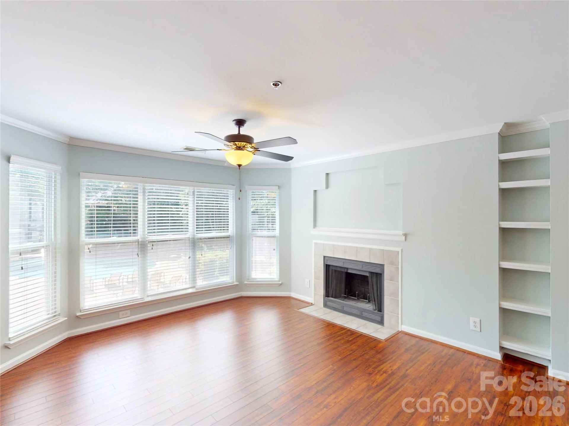 517 Graham Street - Photo 4
