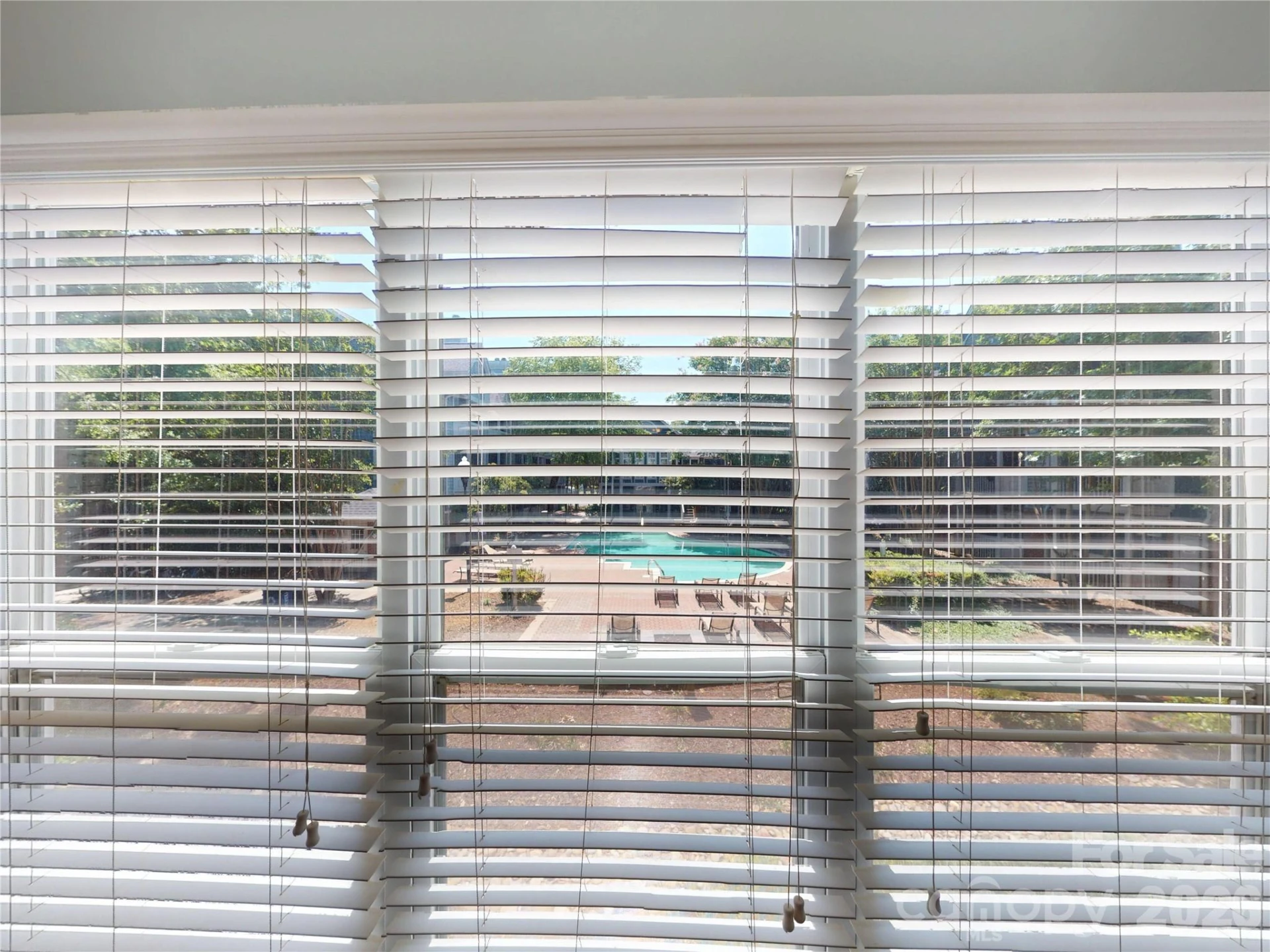 517 Graham Street - Photo 7