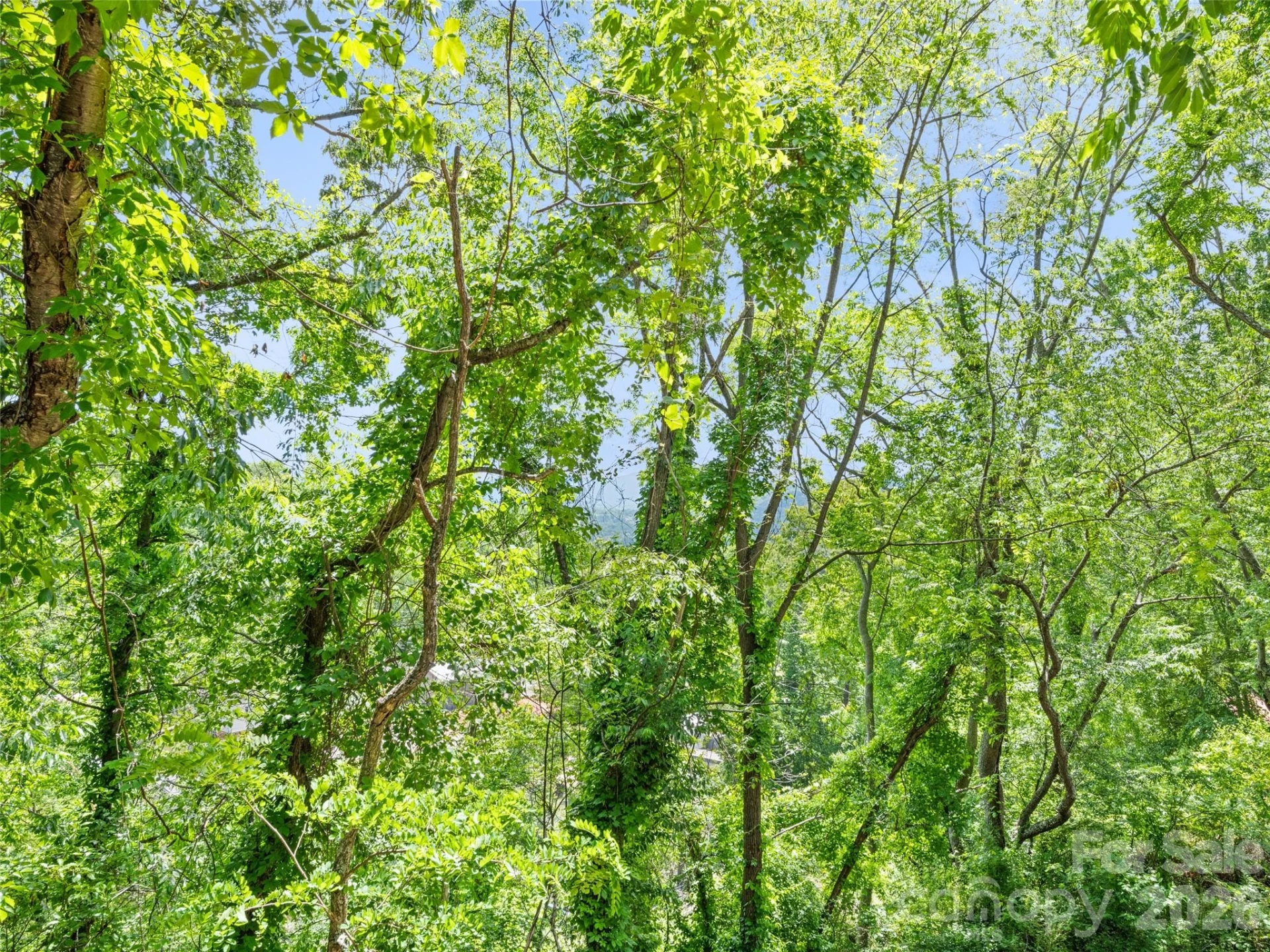 157 Highland Terrace - Photo 32