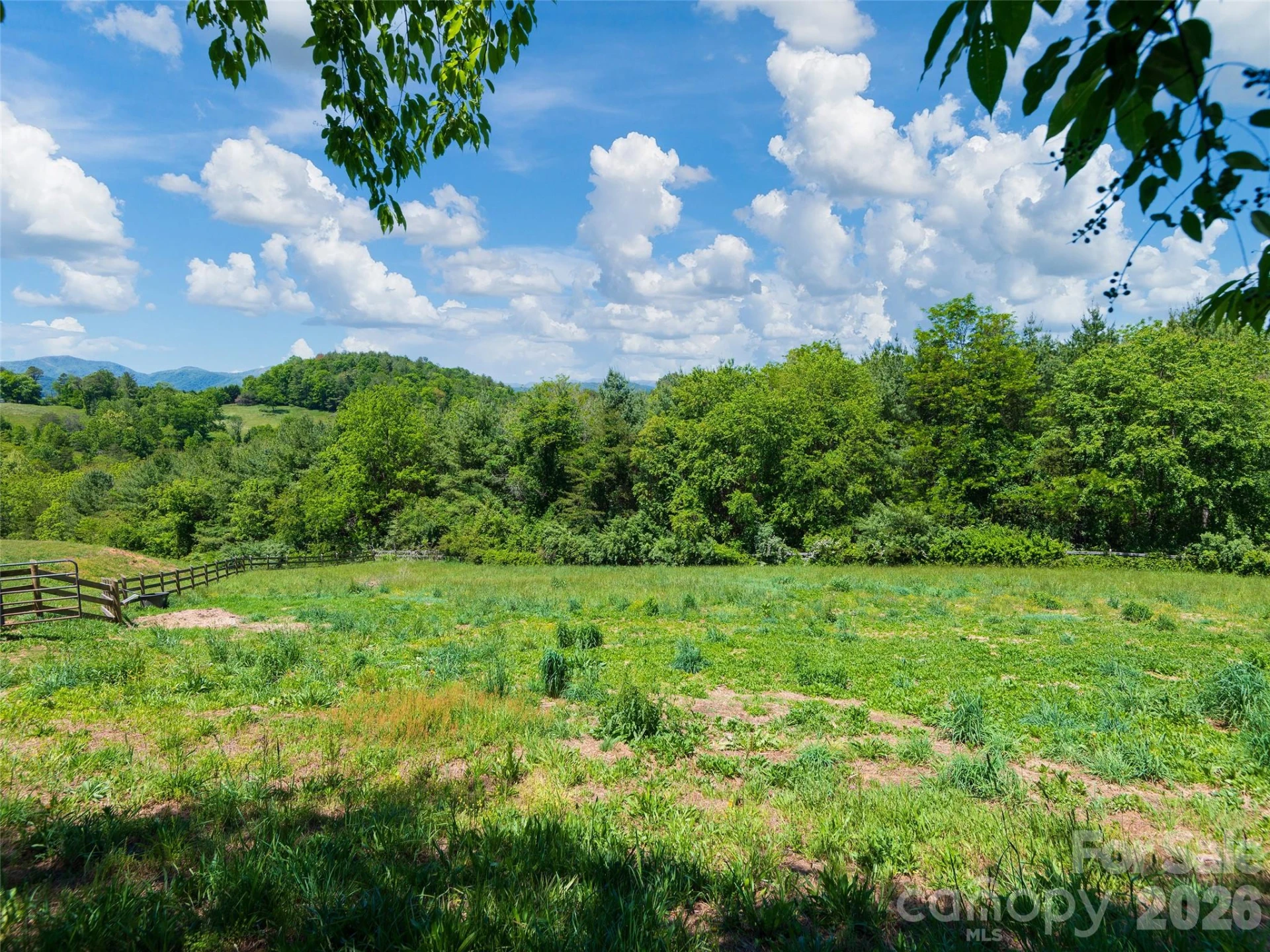 271 Sluder Branch Road - Photo 22