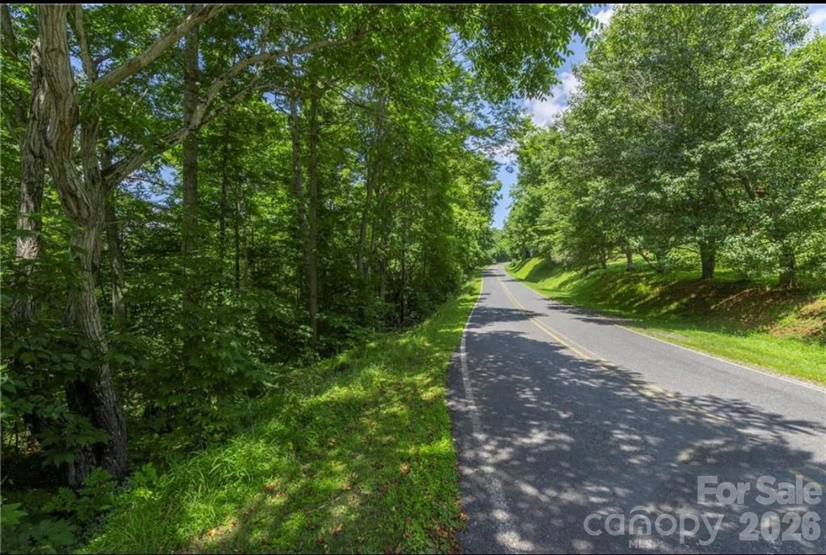 00 Rabbit Hop Road #16 & 17 - Photo 2