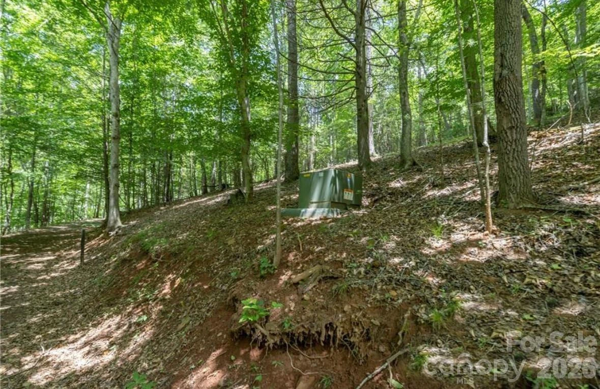 00 Rabbit Hop Road #16 & 17 - Photo 3