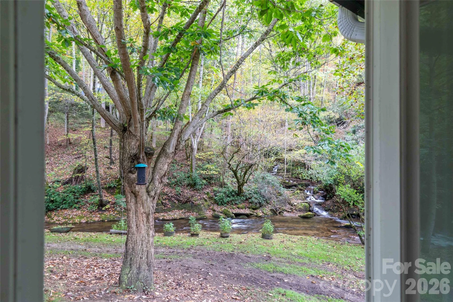 214 Chin Tree Road - Photo 26
