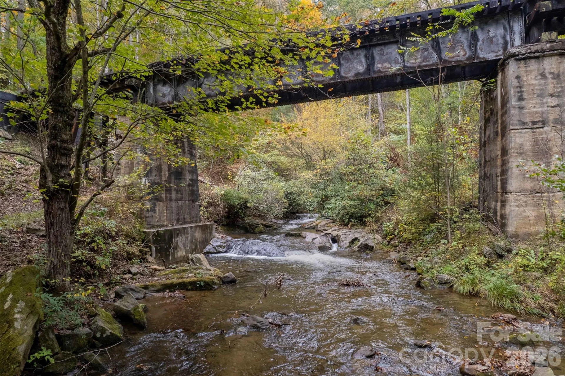 214 Chin Tree Road - Photo 29