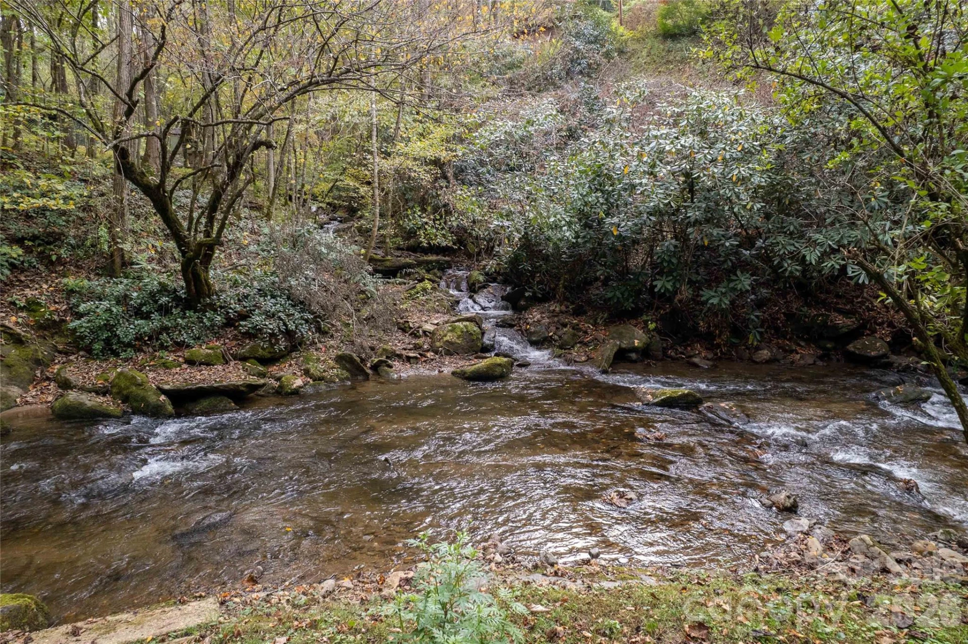 214 Chin Tree Road - Photo 31