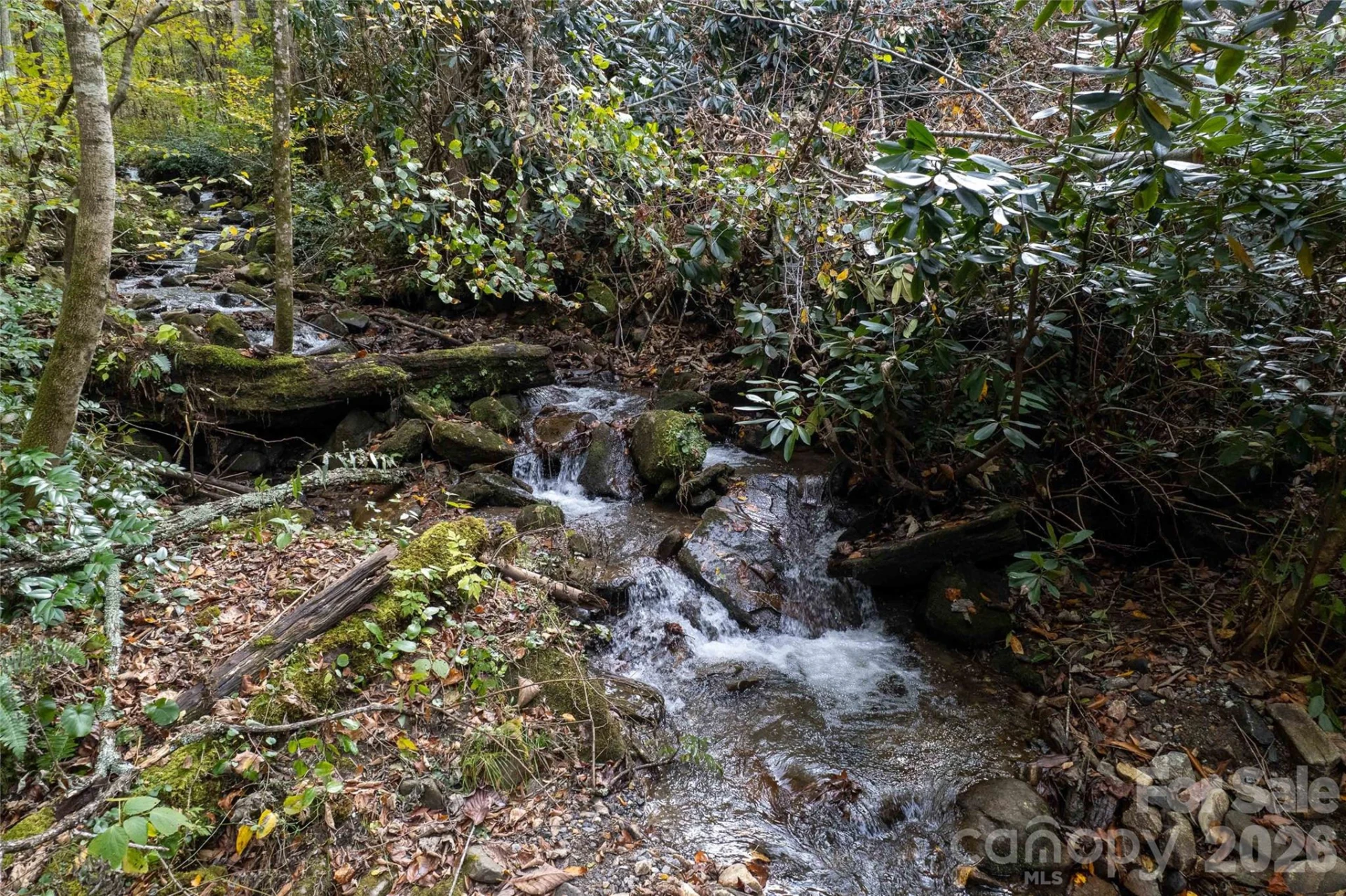 214 Chin Tree Road - Photo 32
