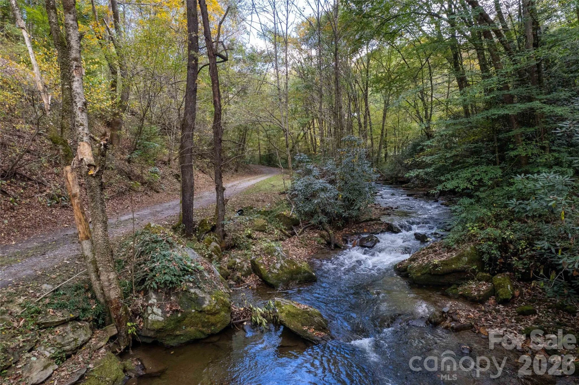 214 Chin Tree Road - Photo 36