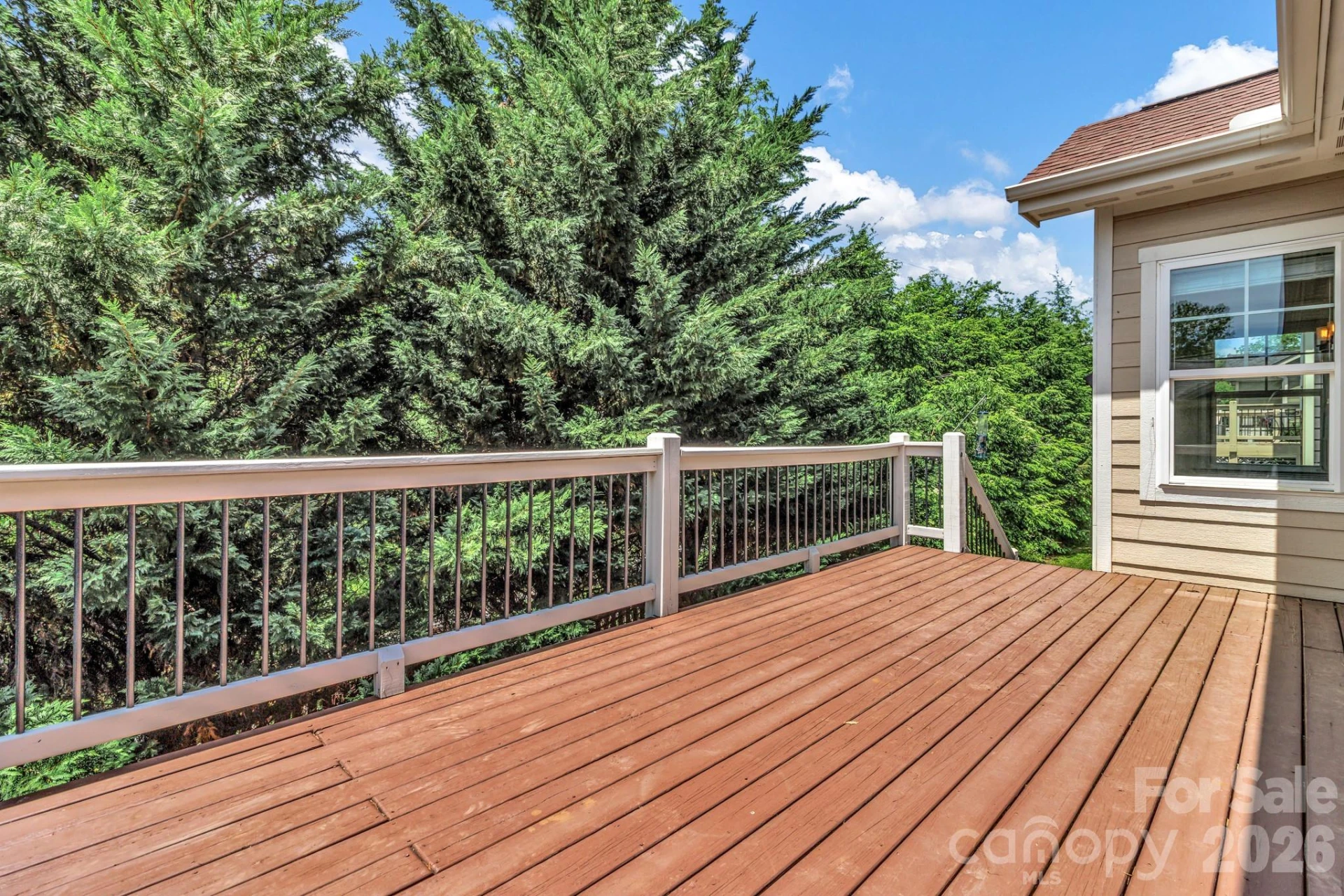 48 Asher Lane - Photo 43