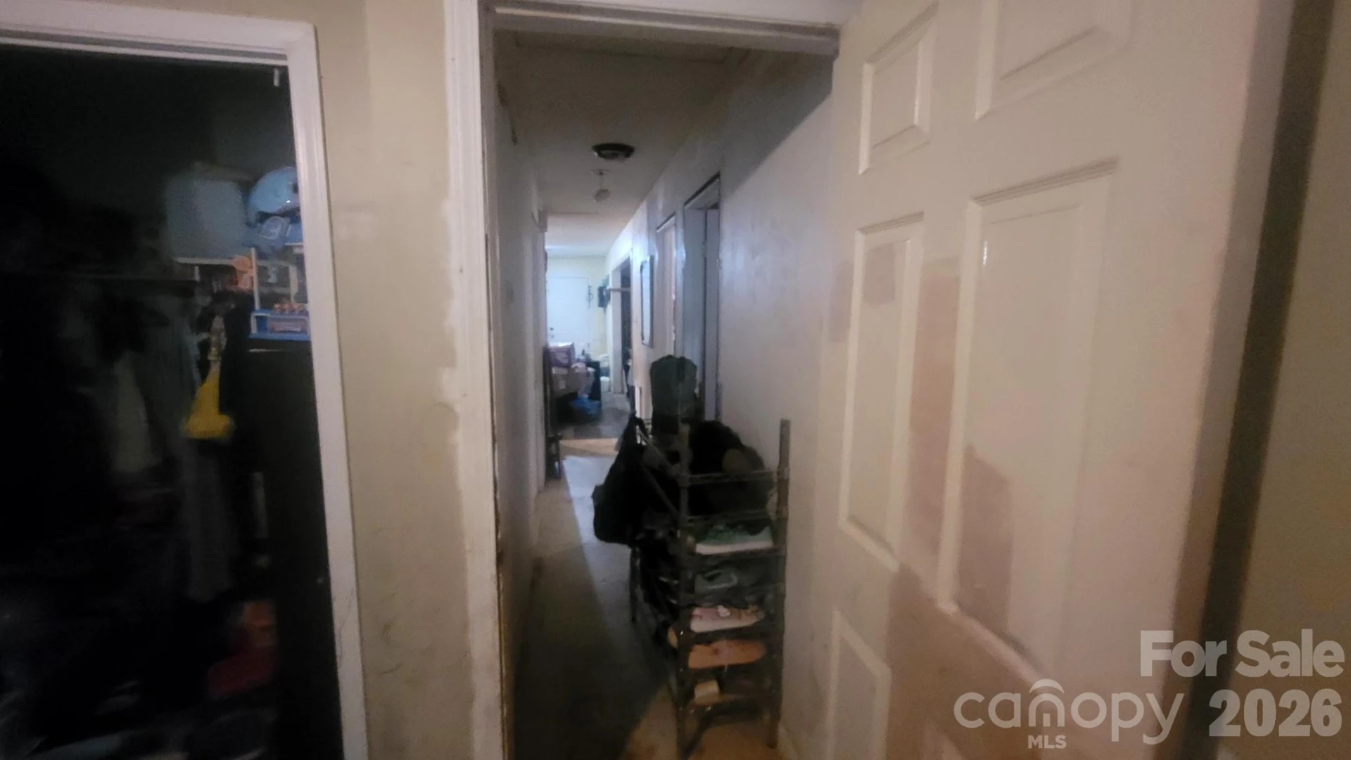 167 Sunny Hill Drive - Photo 9