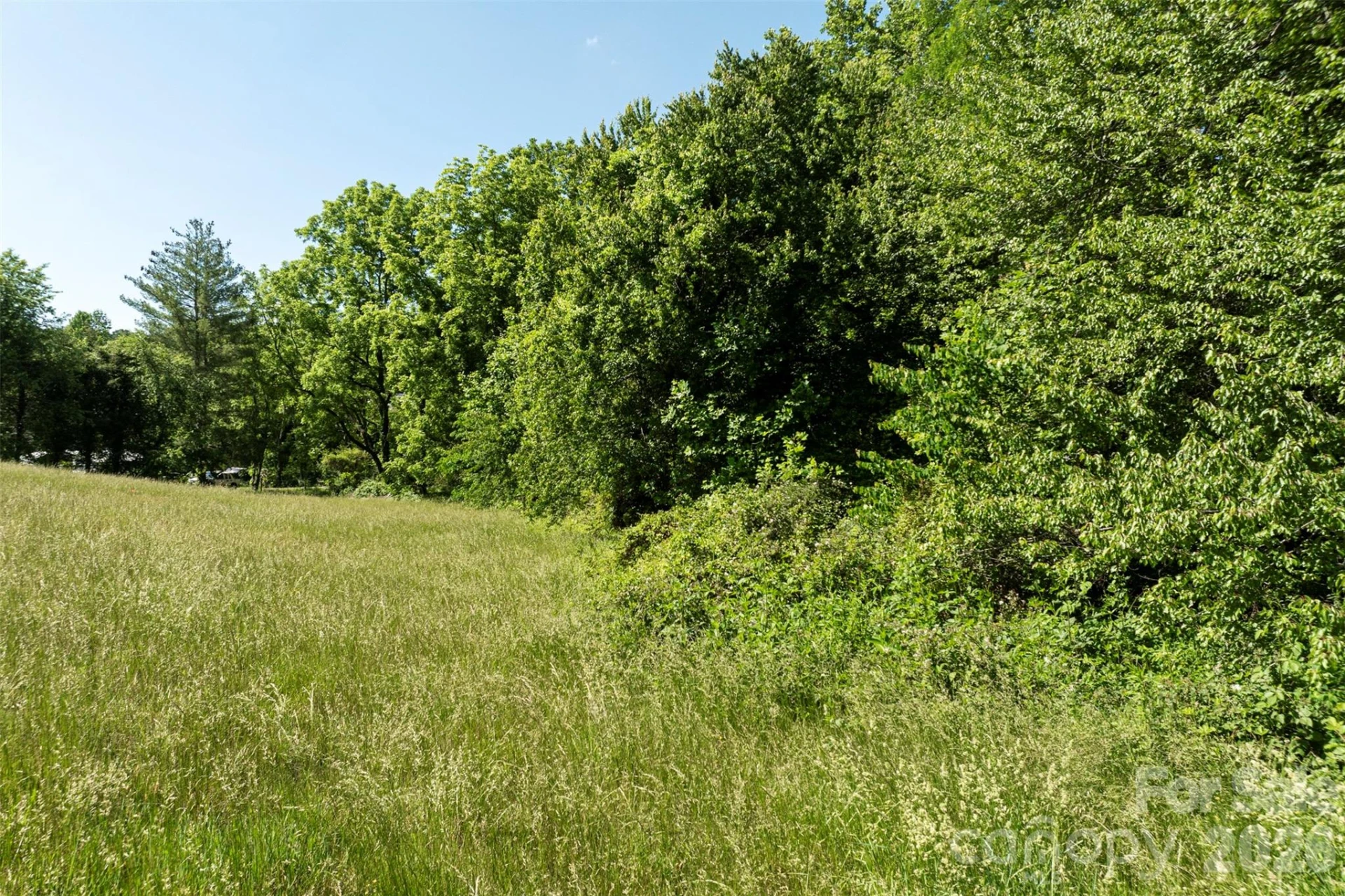 99999 Luther Road - Photo 14