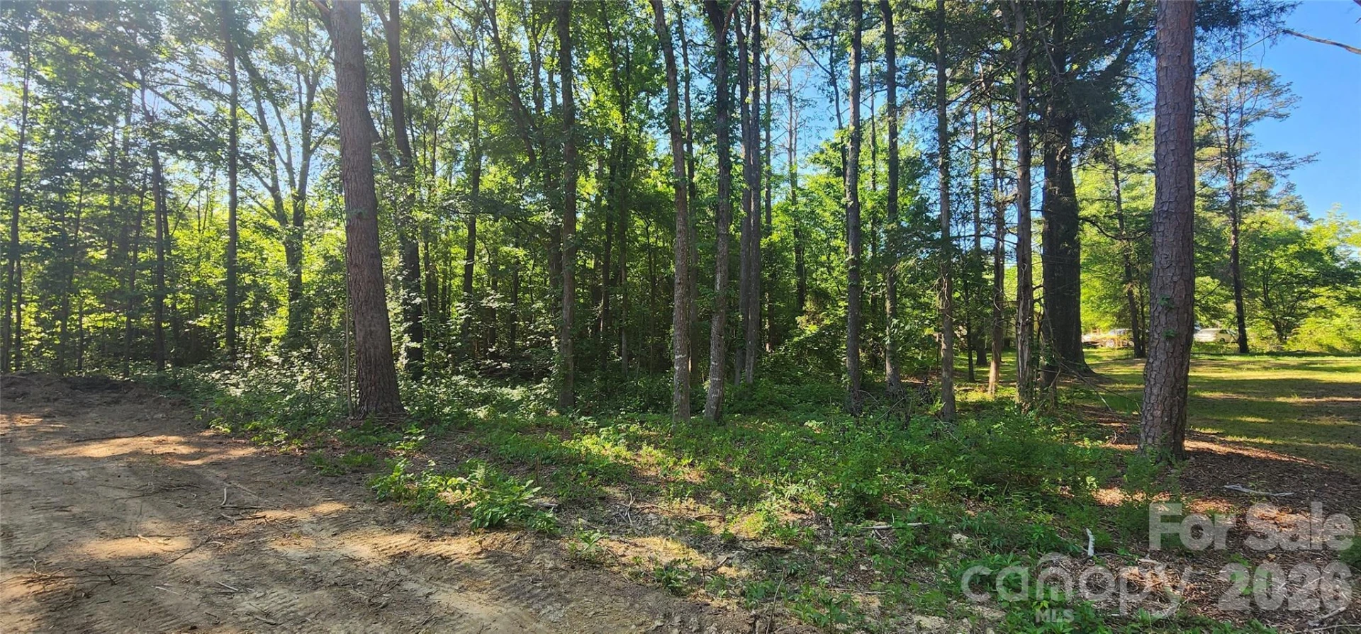 1040 Apollo Lane - Photo 13