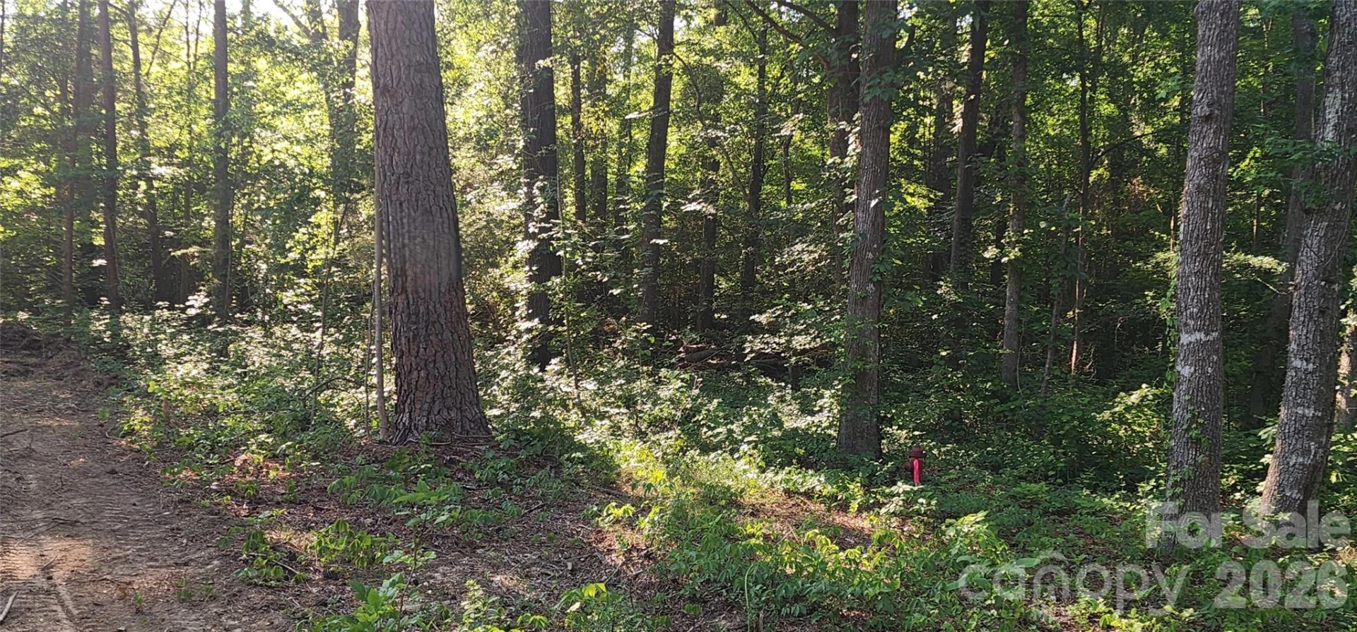 1040 Apollo Lane - Photo 14