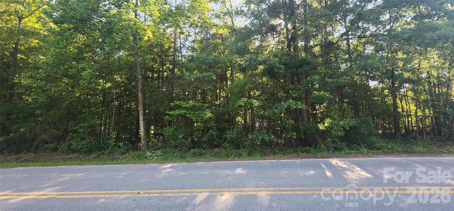 1040 Apollo Lane - Photo 17