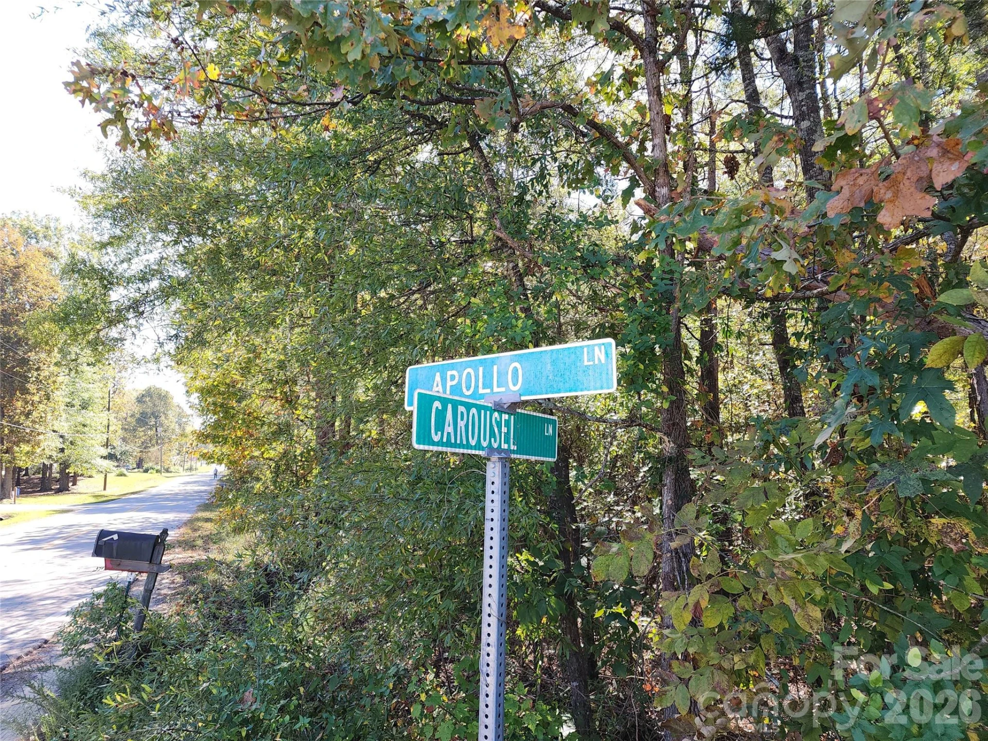 1040 Apollo Lane - Photo 20