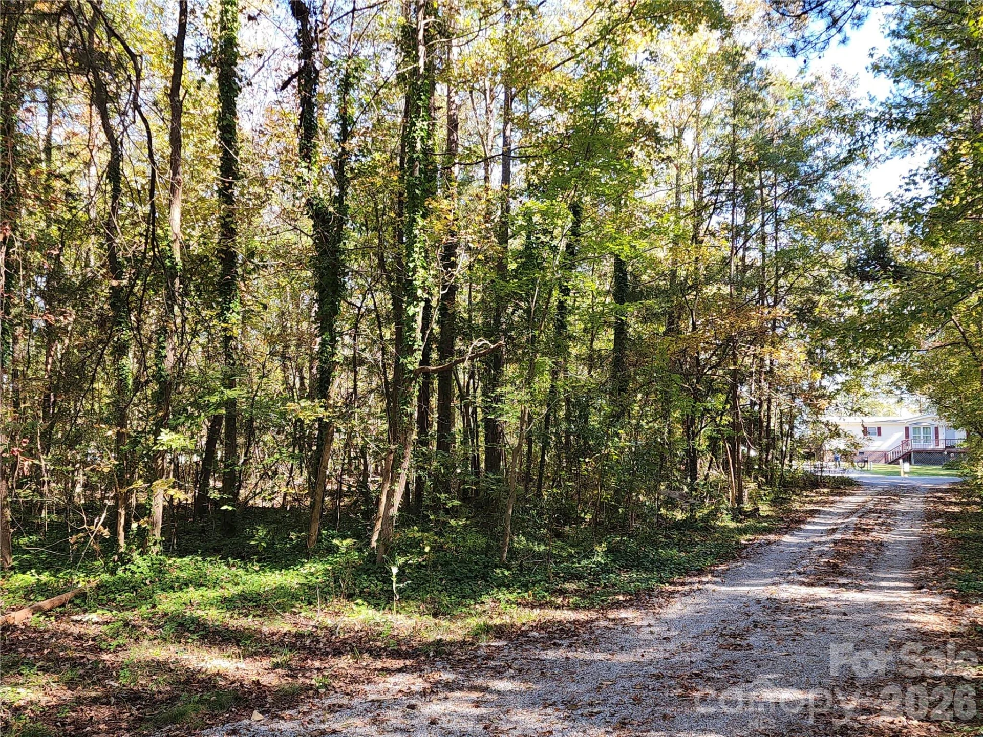 1040 Apollo Lane - Photo 21