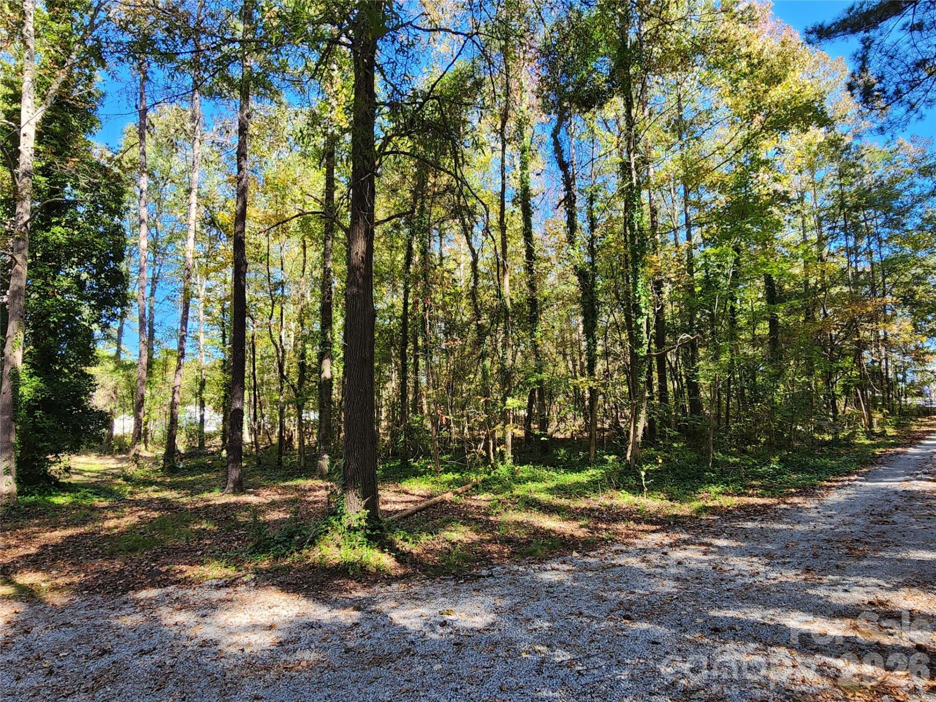 1040 Apollo Lane - Photo 22