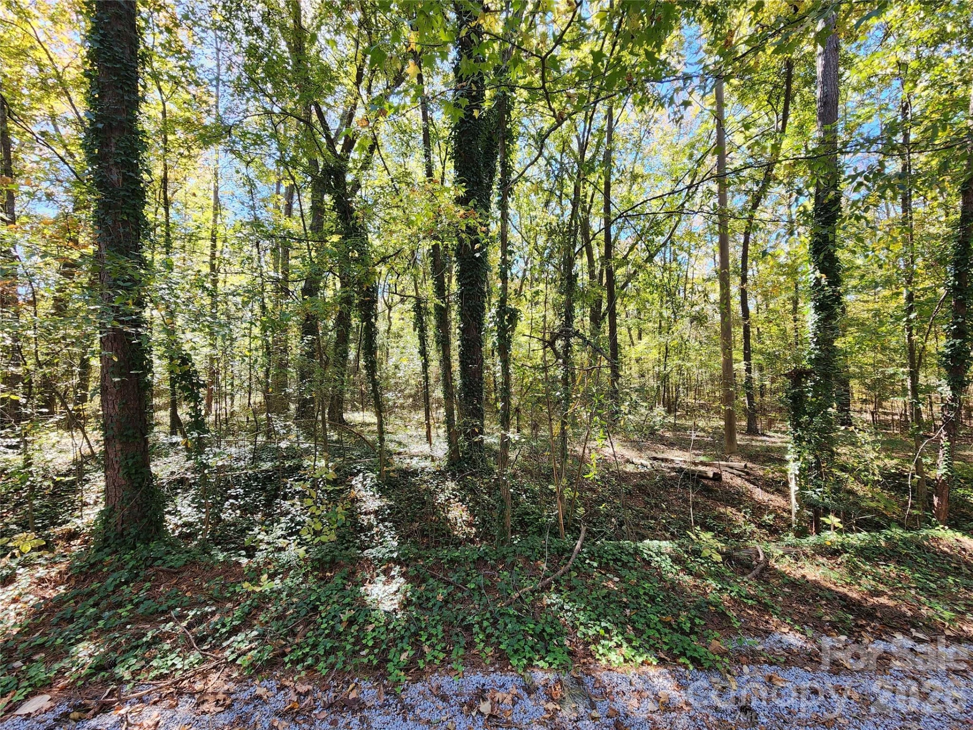 1040 Apollo Lane - Photo 23