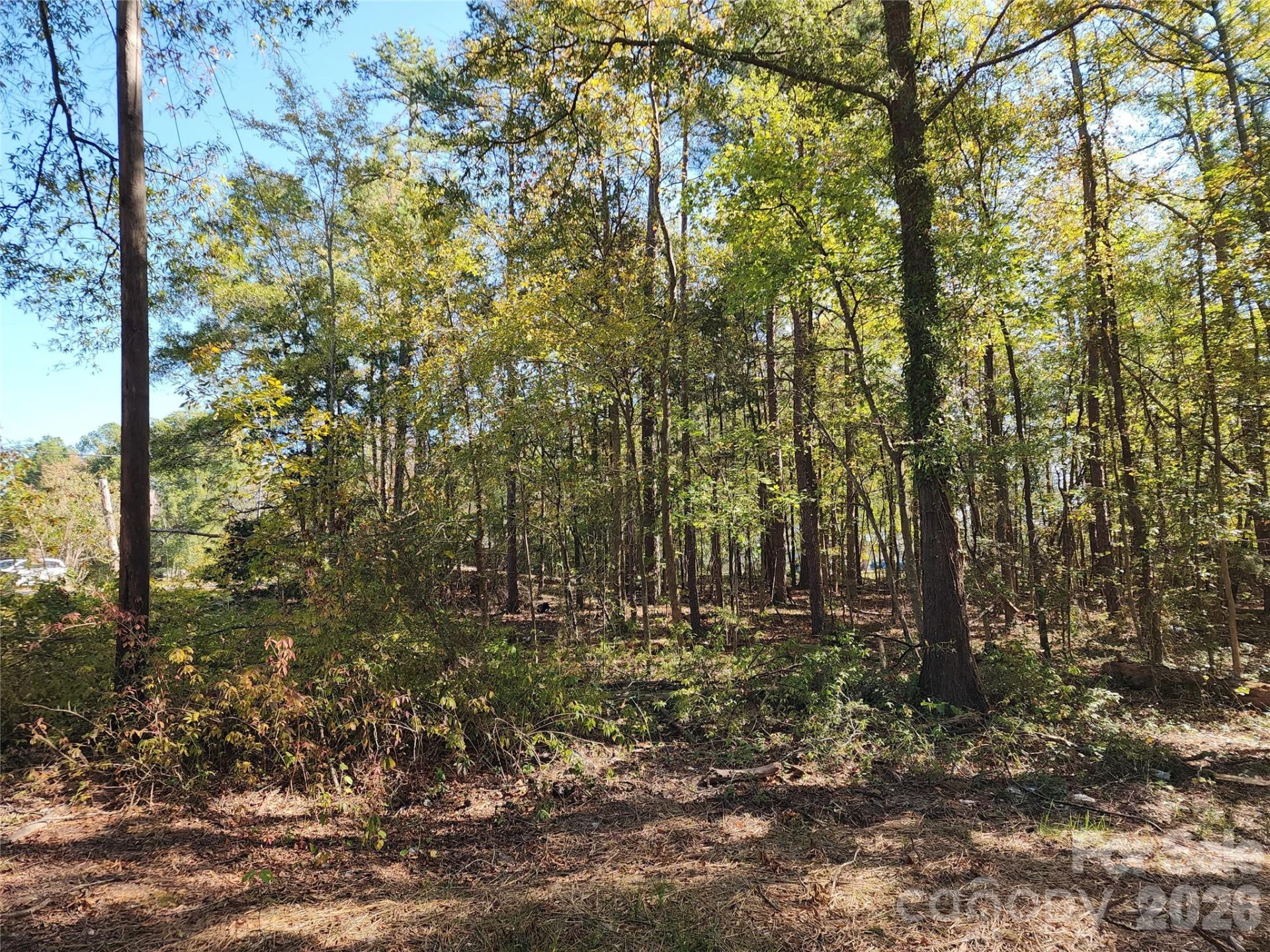 1040 Apollo Lane - Photo 24