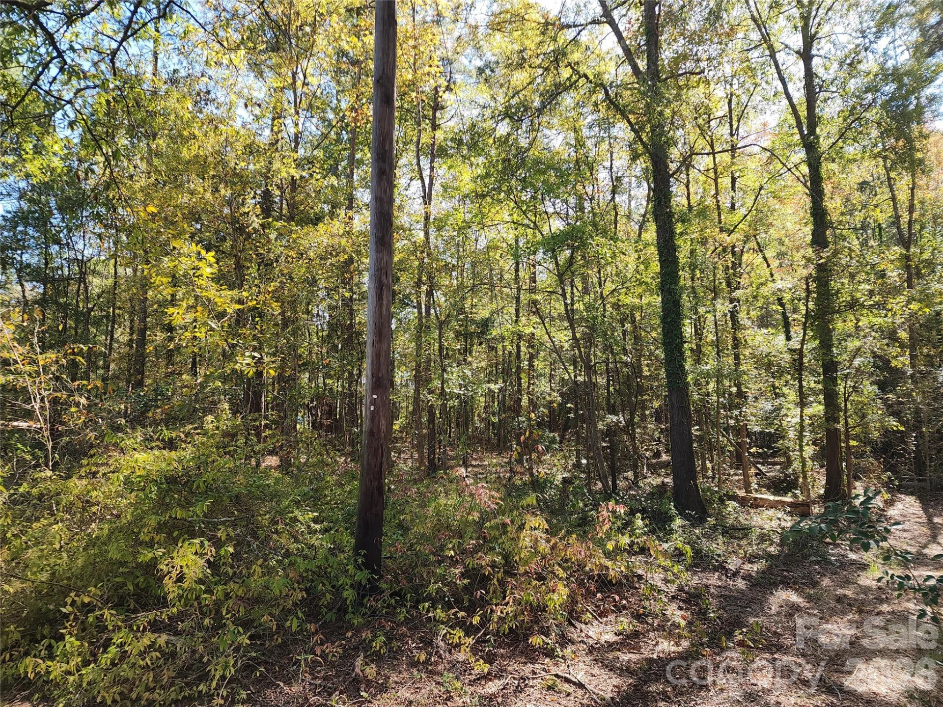 1040 Apollo Lane - Photo 25