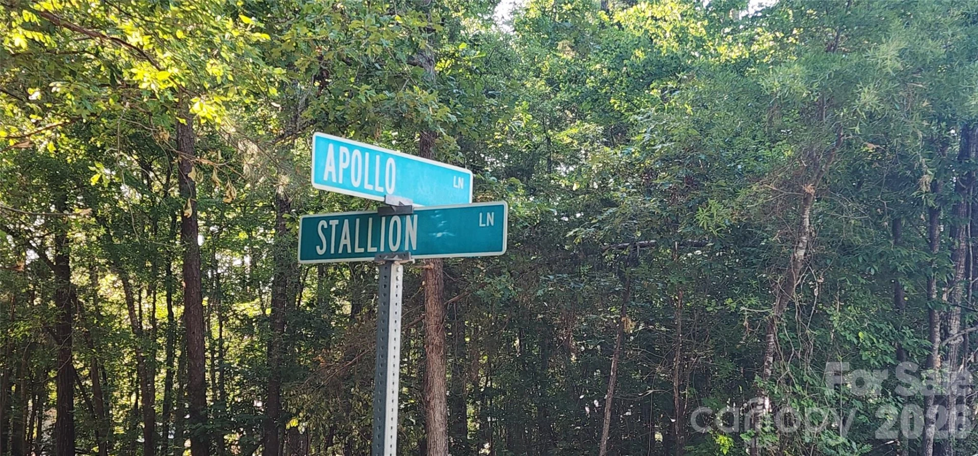 1040 Apollo Lane - Photo 9