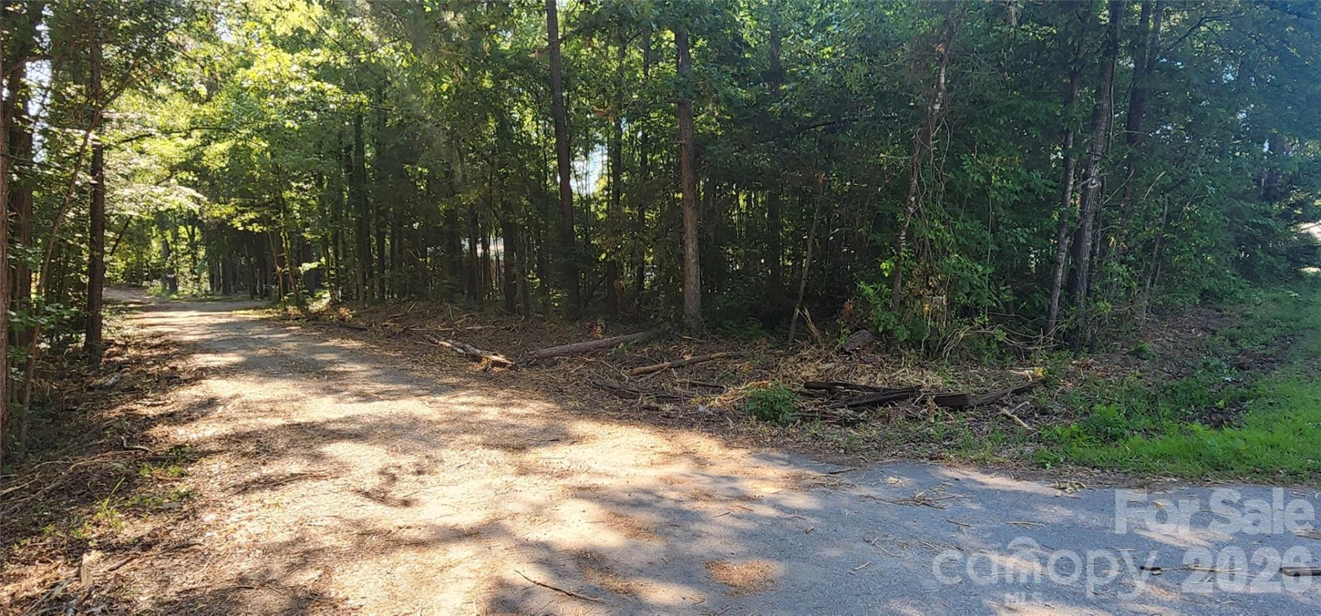 1040 Apollo Lane - Photo 10
