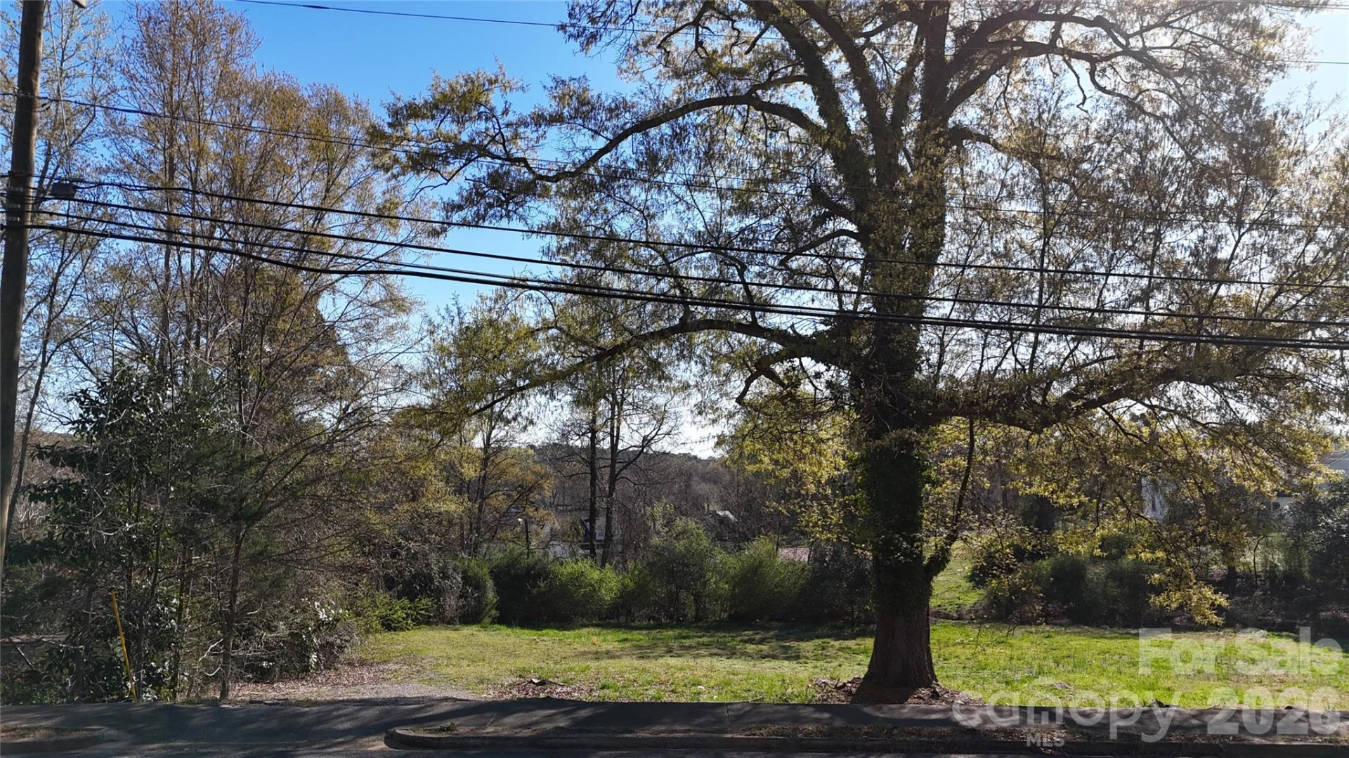 33 Pinecrest Avenue - Photo 2
