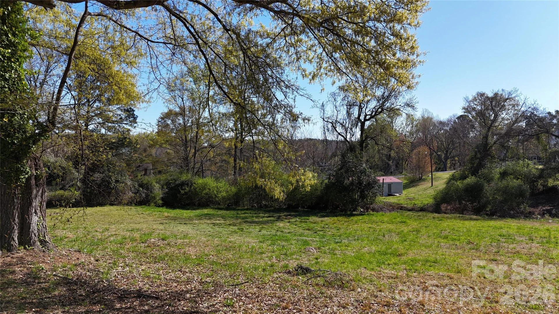 33 Pinecrest Avenue - Photo 3