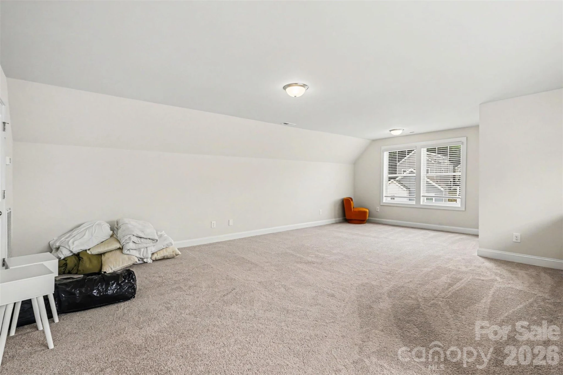9014 Henry Thoreau Road - Photo 11