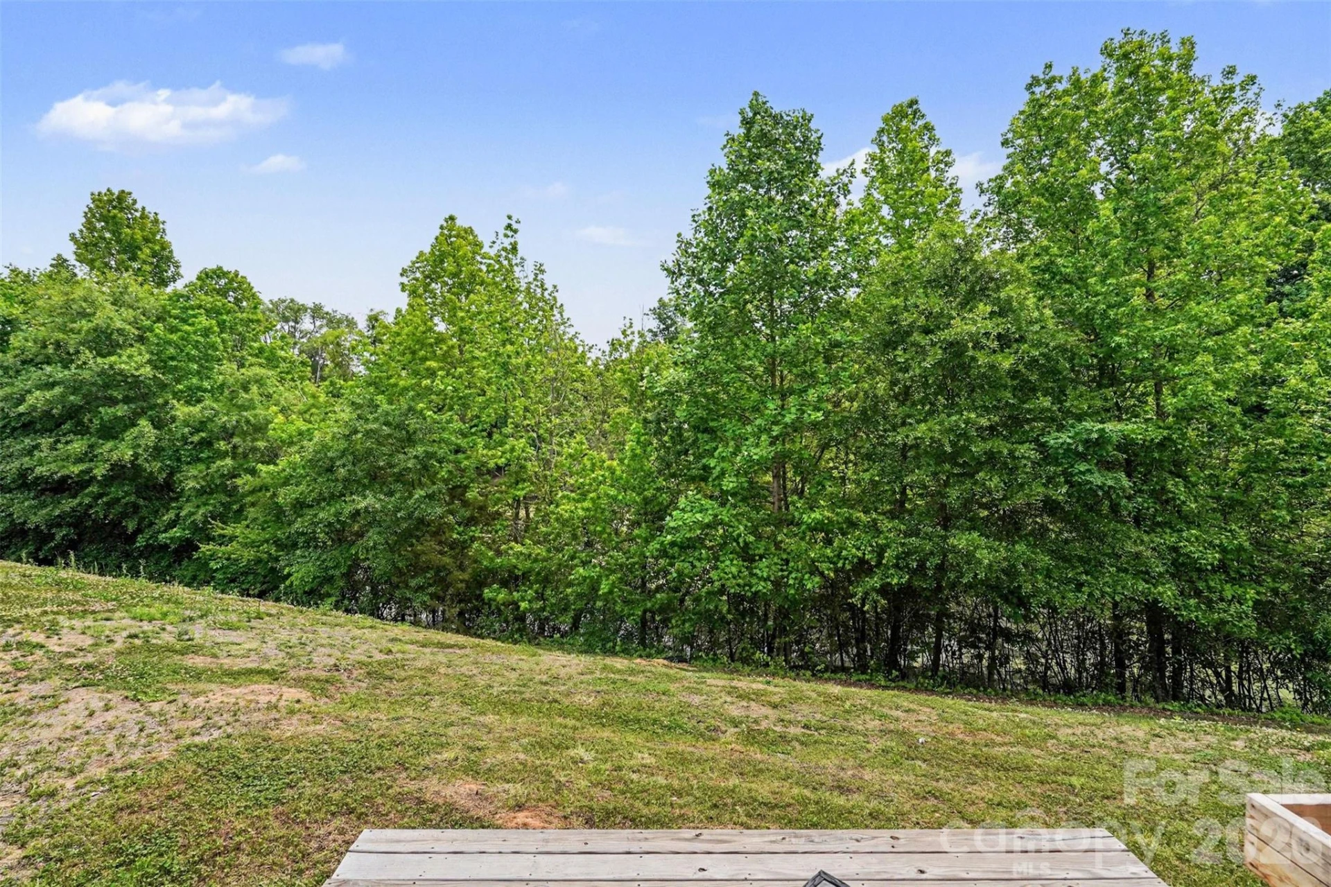 9014 Henry Thoreau Road - Photo 21
