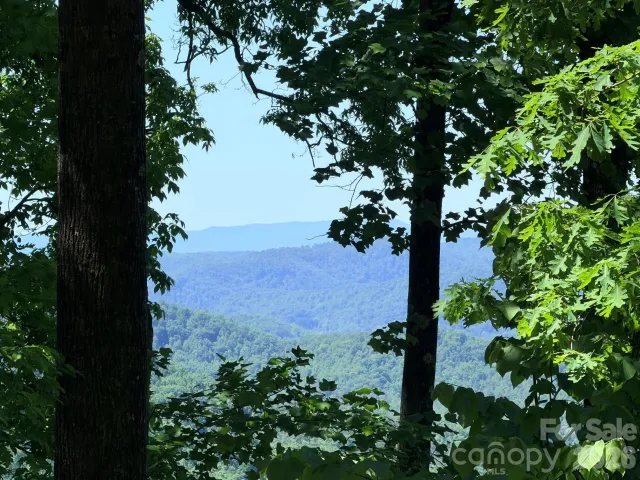 Lot 10 Timbercliff Trail, Black Mountain, NC, 28711
