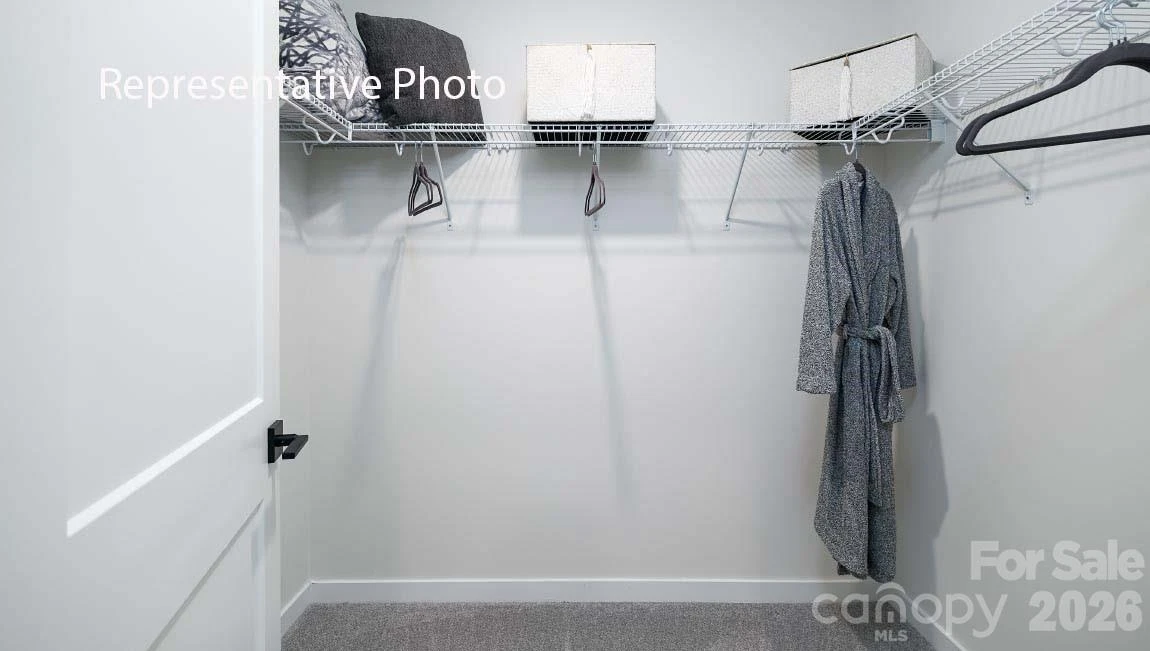 1043 Tundra Swan Drive - Photo 27