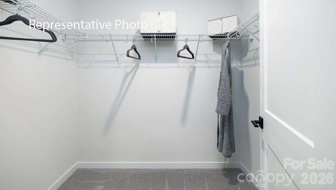 1043 Tundra Swan Drive - Photo 28