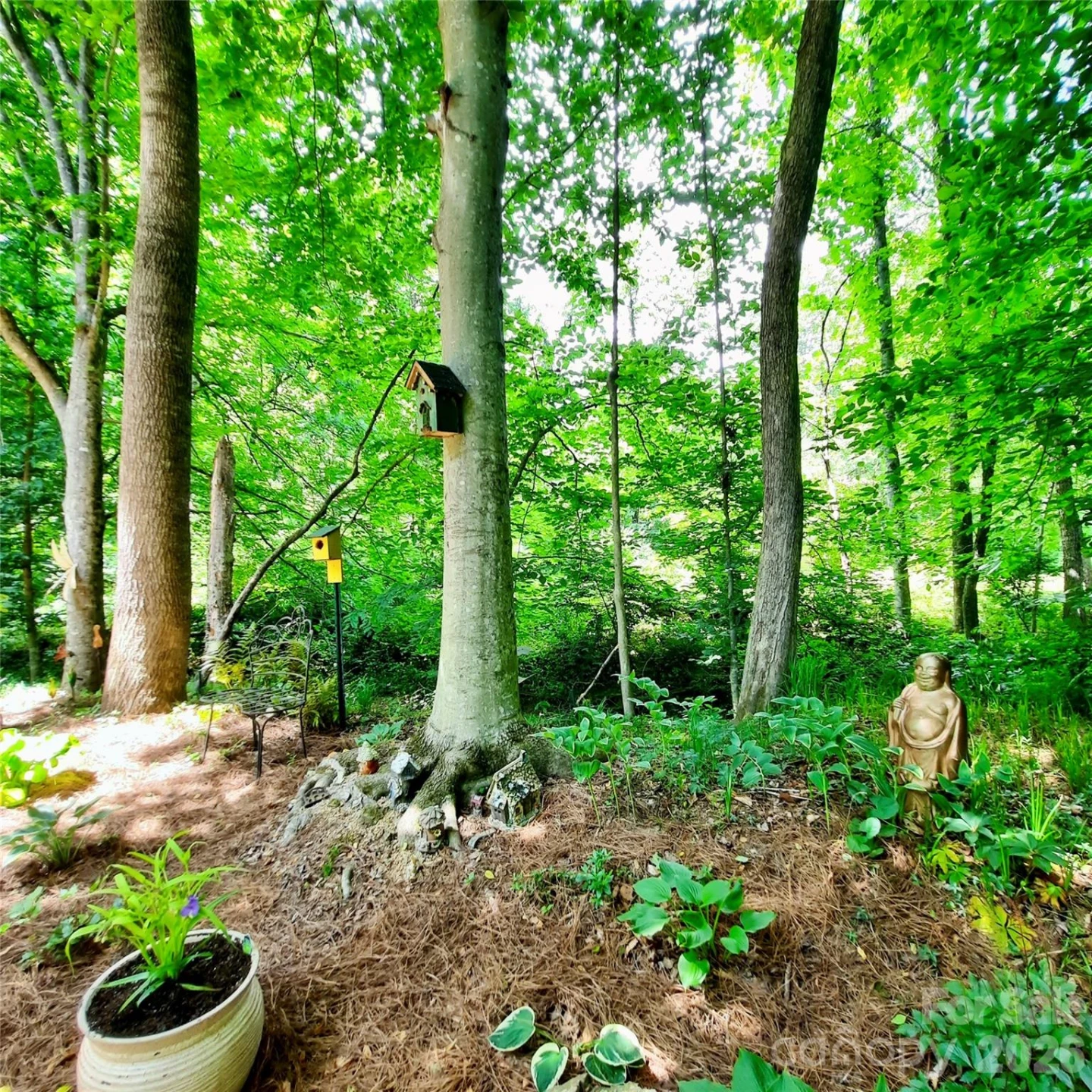 9 Firestone Court - Photo 11