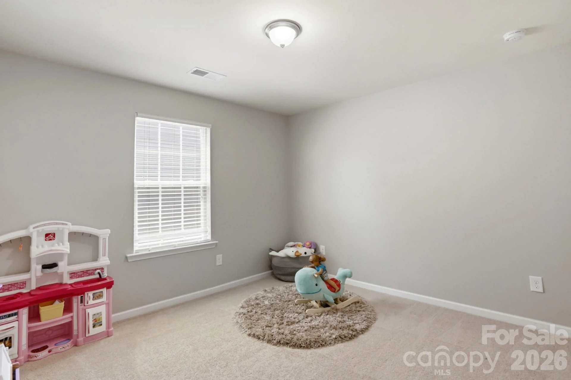1551 Shannon Falls Drive - Photo 37