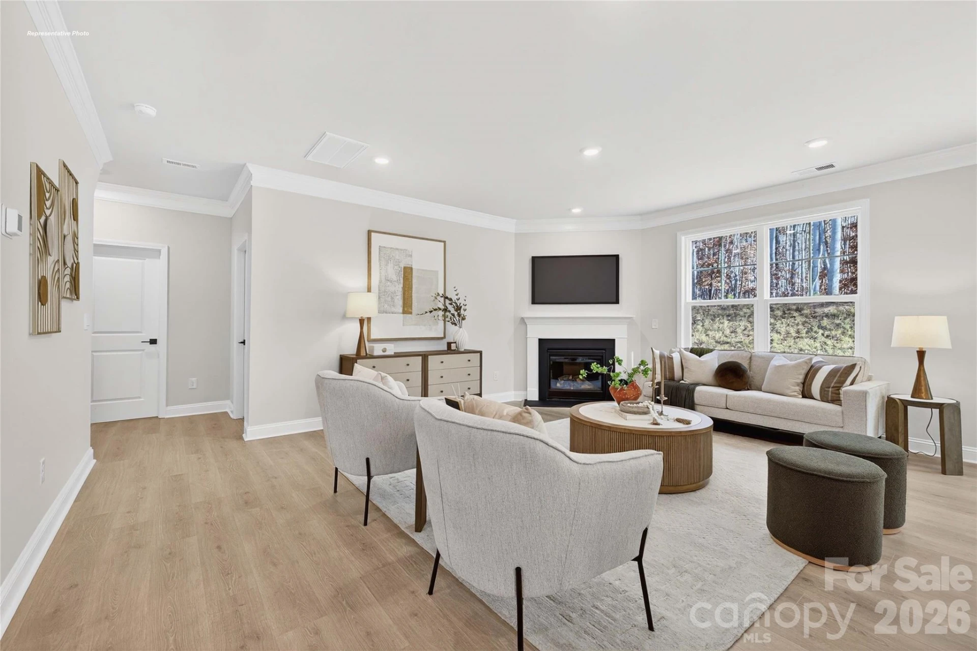 1044 Tundra Swan Drive - Photo 13
