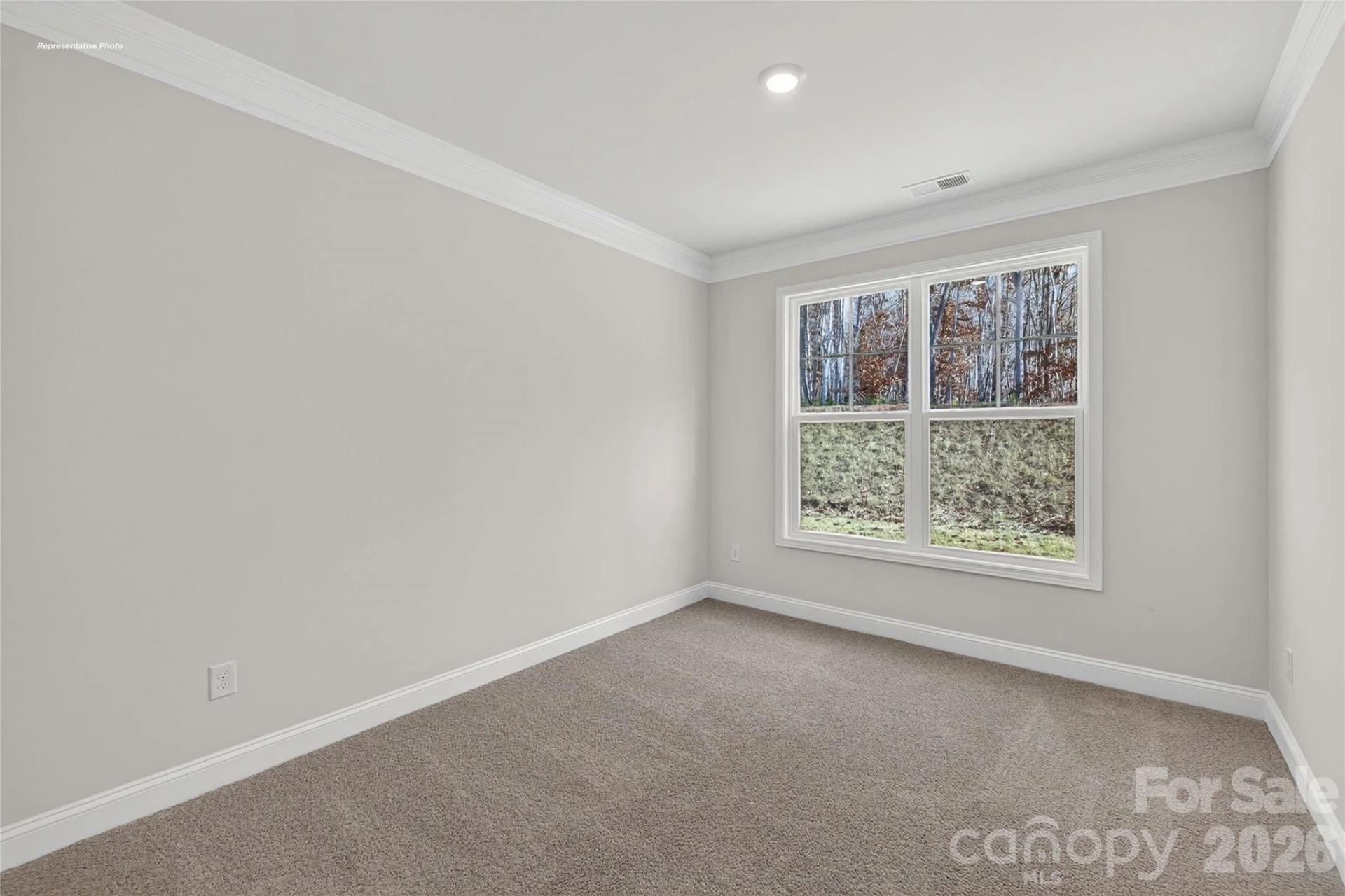 1044 Tundra Swan Drive - Photo 18