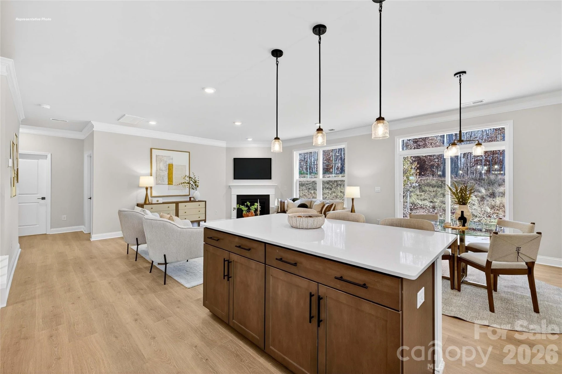 1044 Tundra Swan Drive - Photo 7