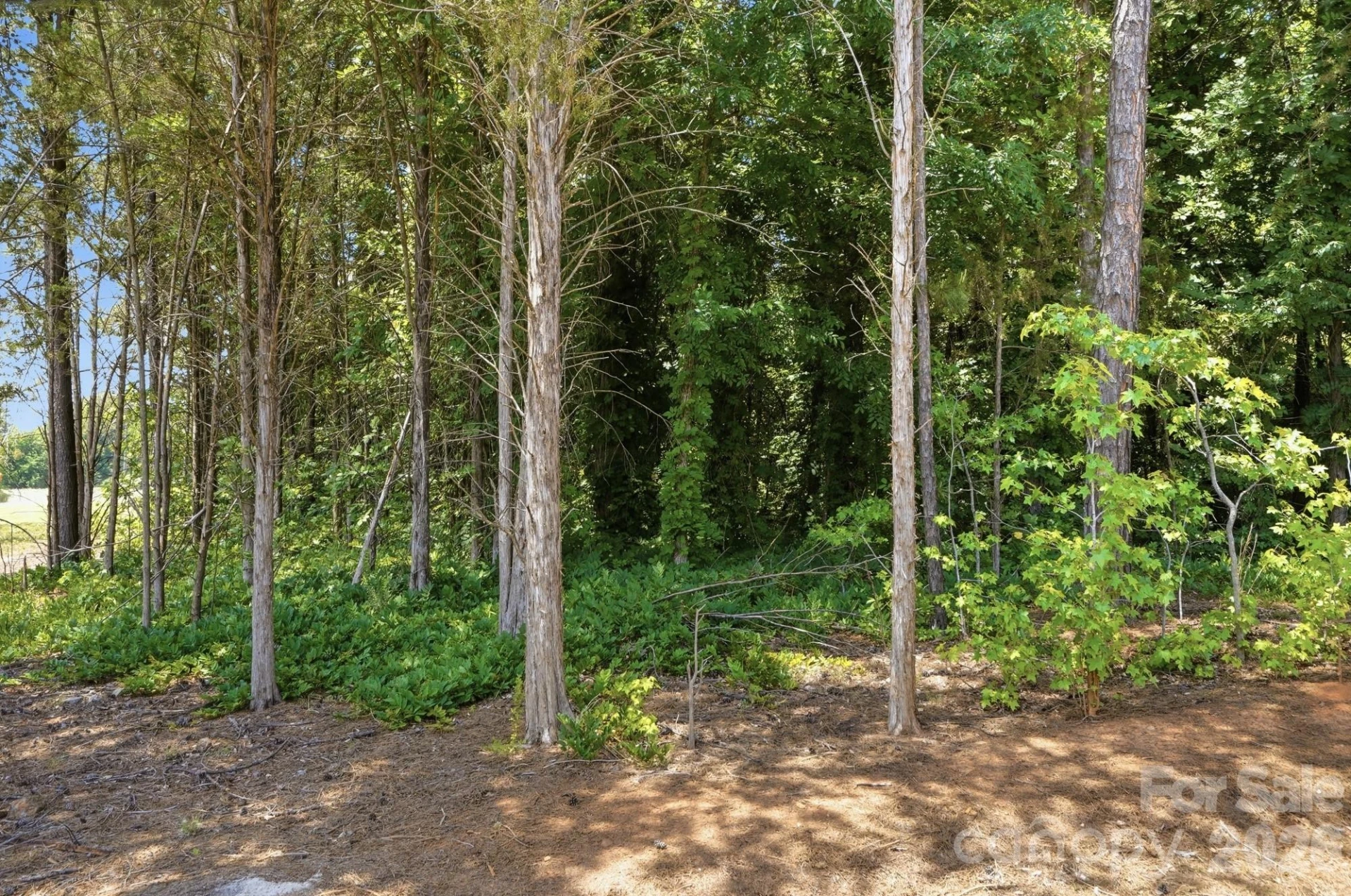 12005 Basking Drive - Photo 40