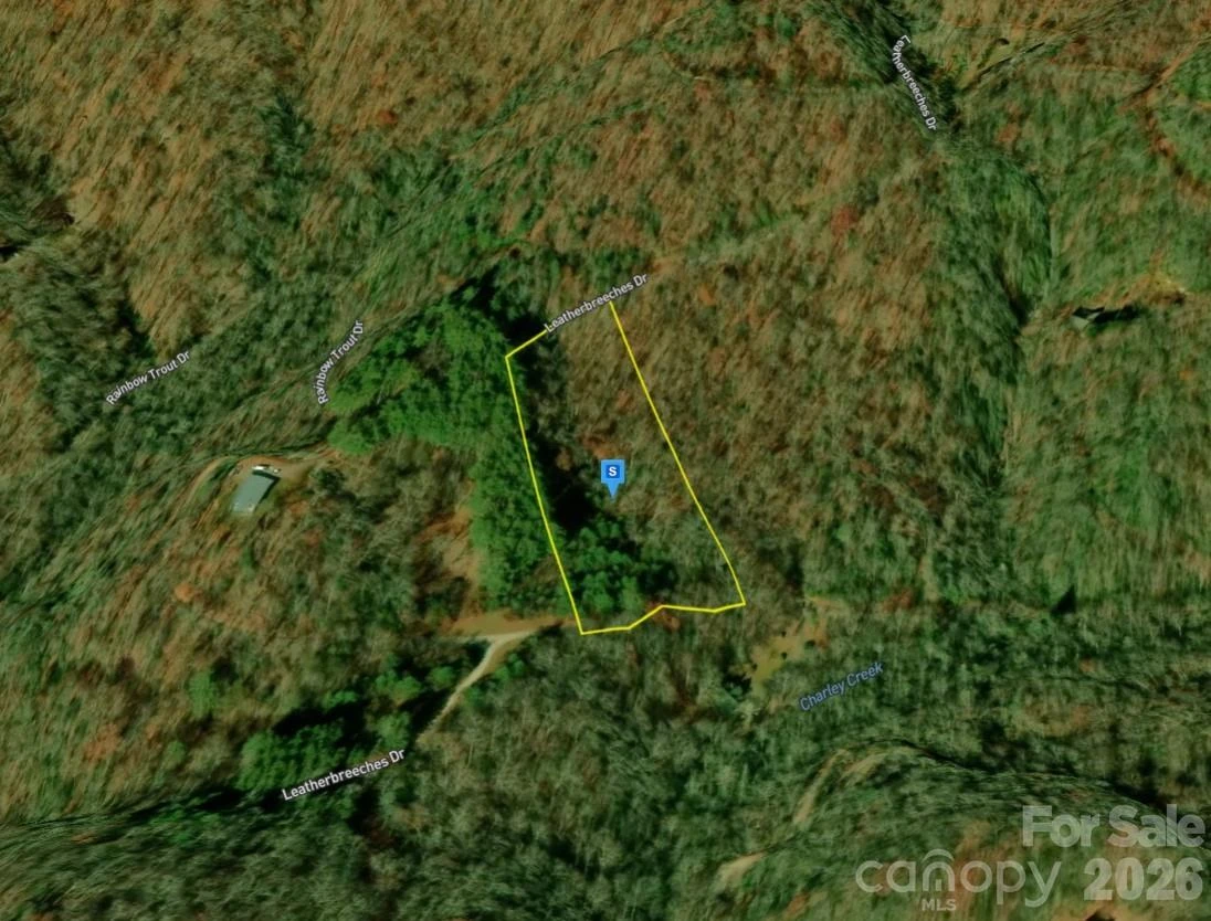51 Bear Track Drive - Photo 3