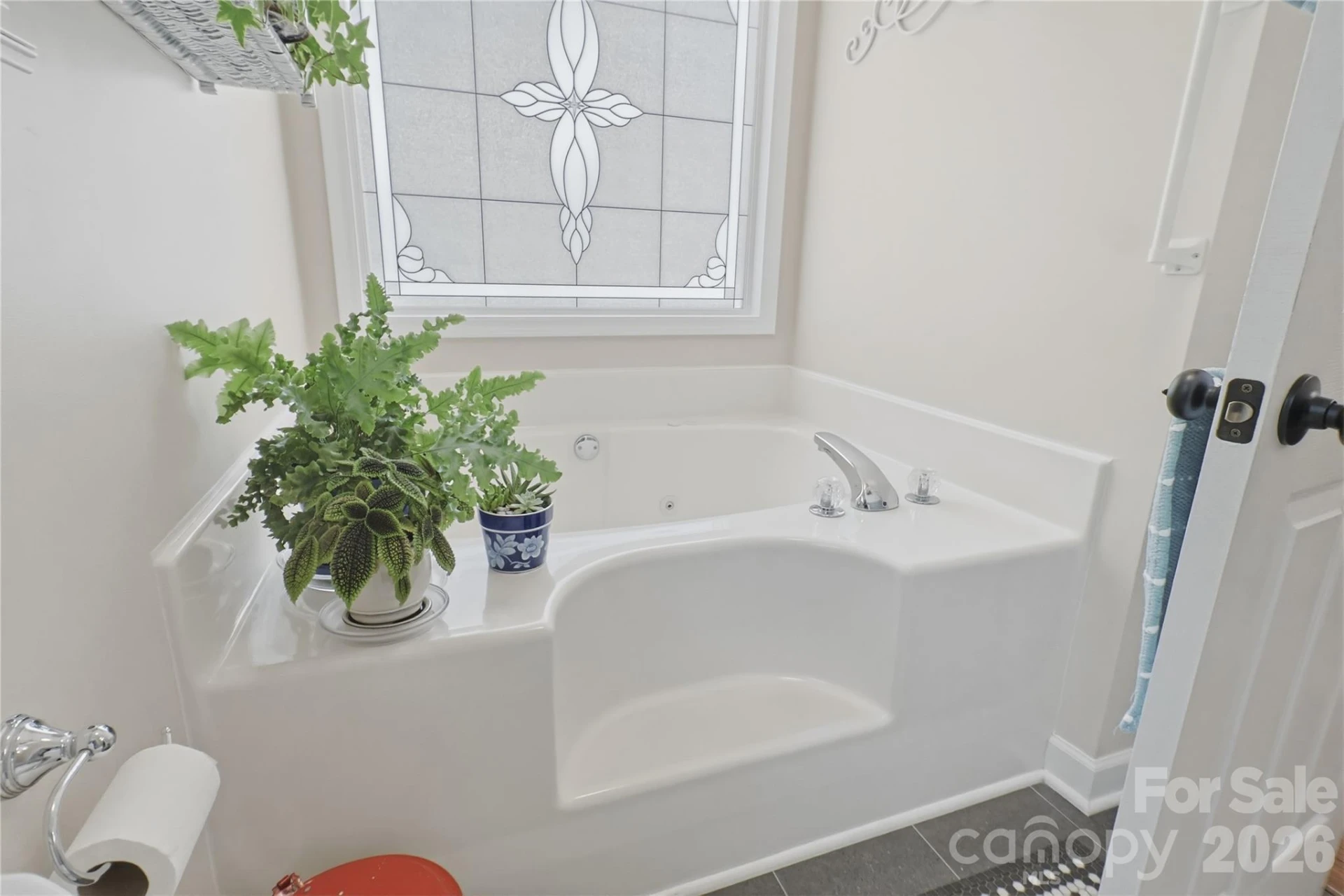 209 Silver Creek Lane - Photo 29