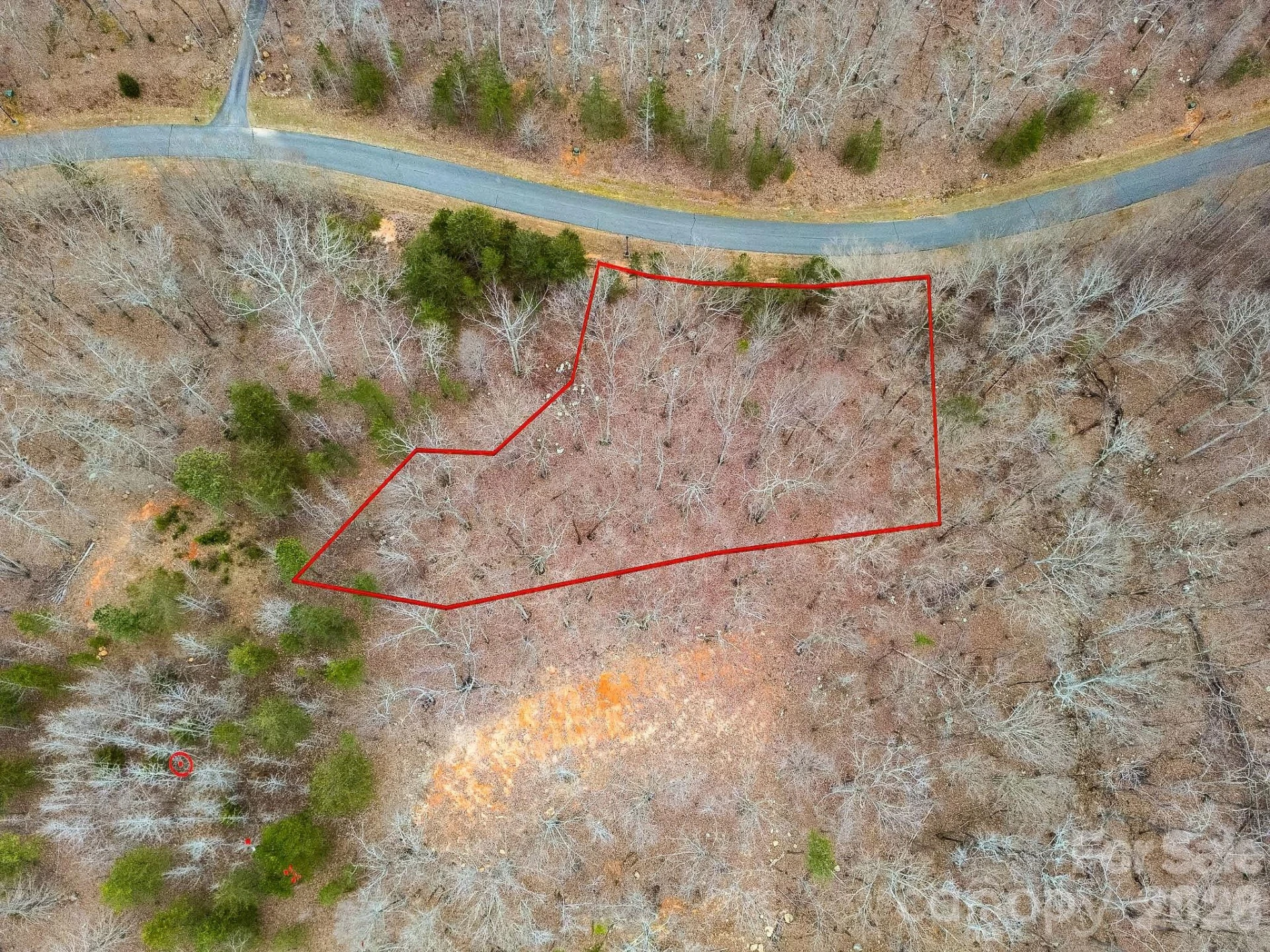 316 Pinnacle Trail - Photo 3