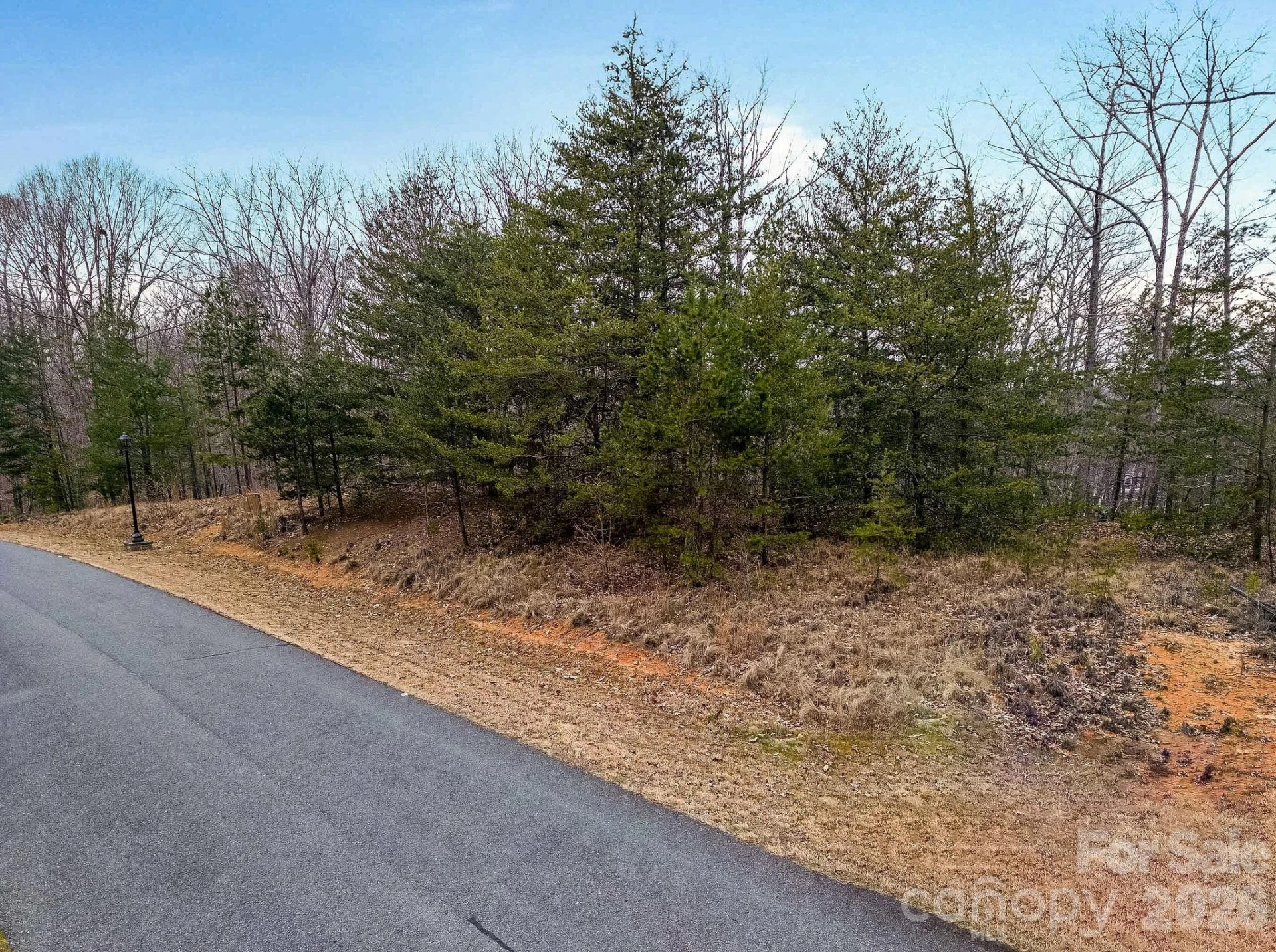 316 Pinnacle Trail - Photo 5