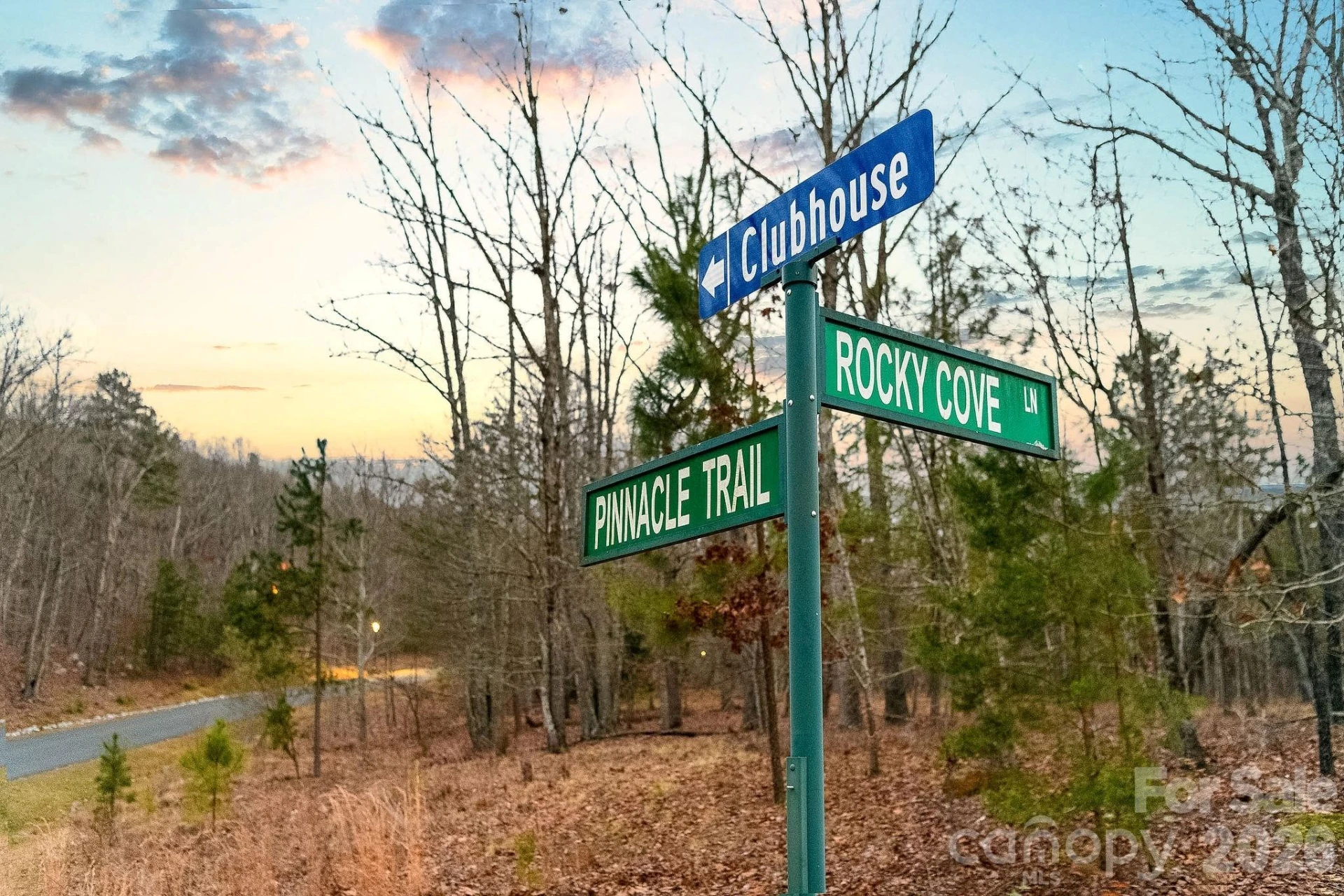 316 Pinnacle Trail - Photo 7