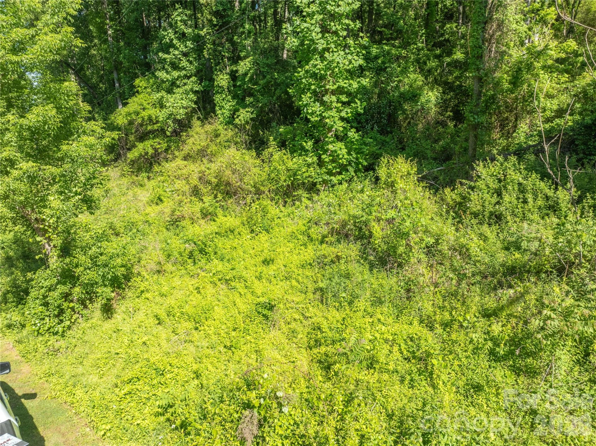 TBD Harkins Cove Road - Photo 8