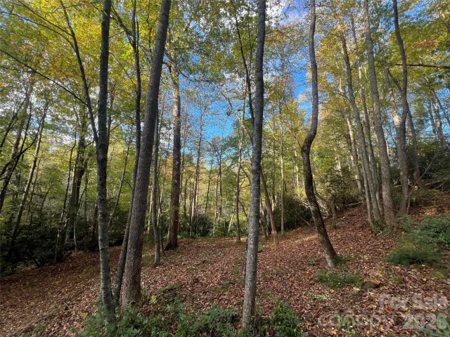6 Dividing Ridge Trail, Arden, NC, 28704