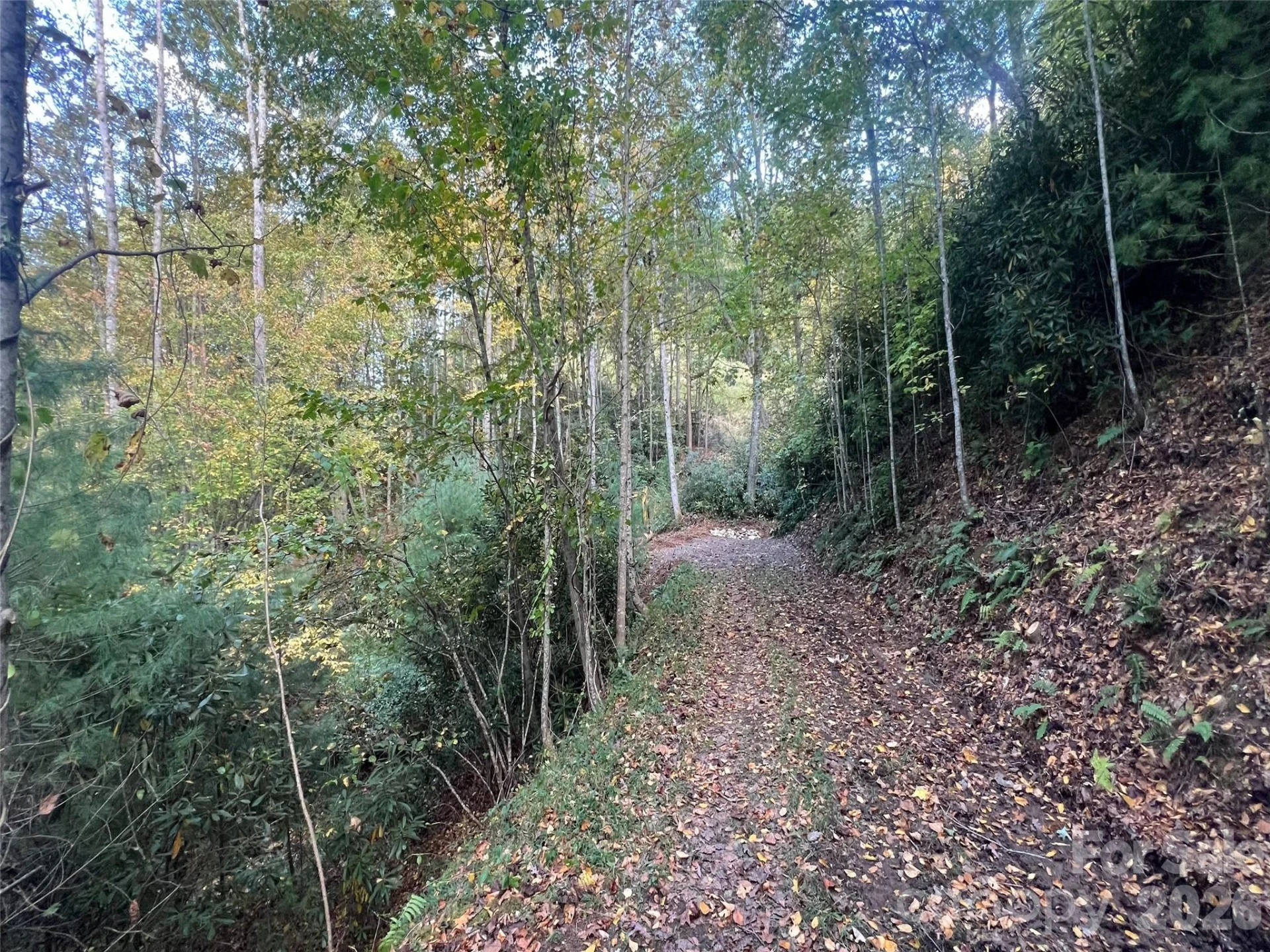 6 Dividing Ridge Trail #01 - Photo 2