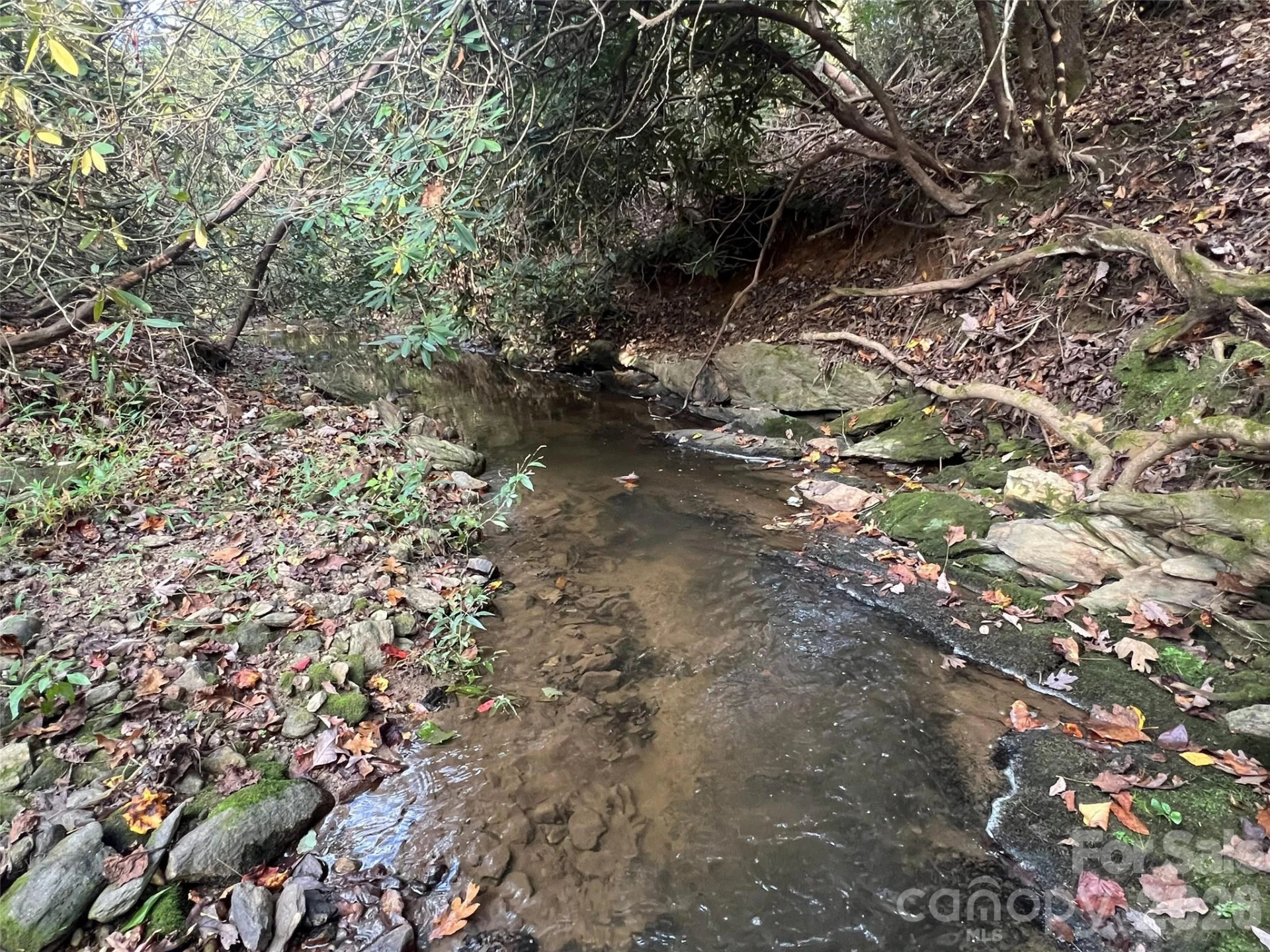 6 Dividing Ridge Trail #01 - Photo 11