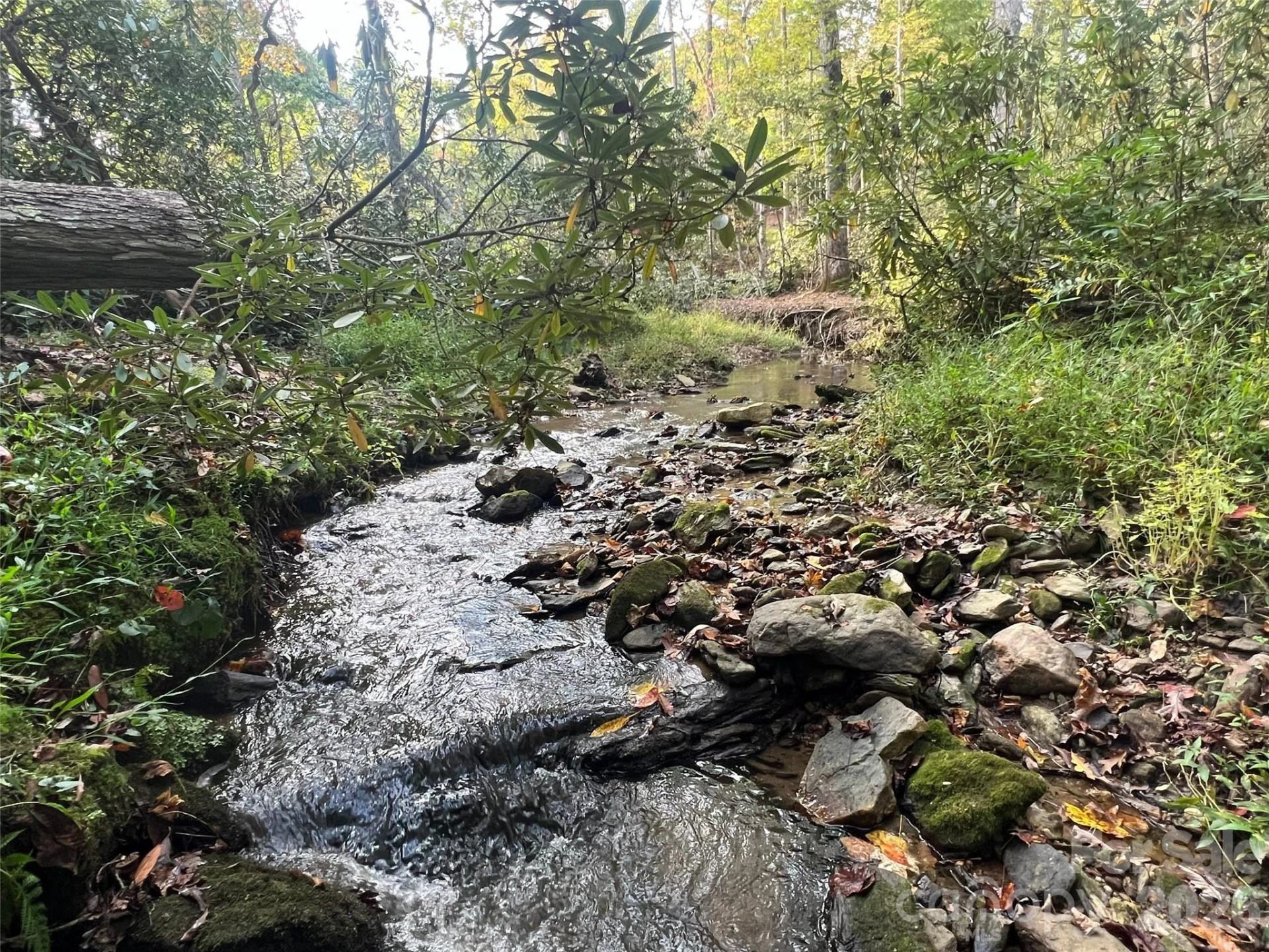 6 Dividing Ridge Trail #01 - Photo 12