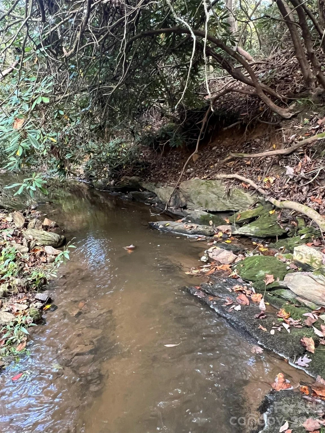 6 Dividing Ridge Trail #01 - Photo 13
